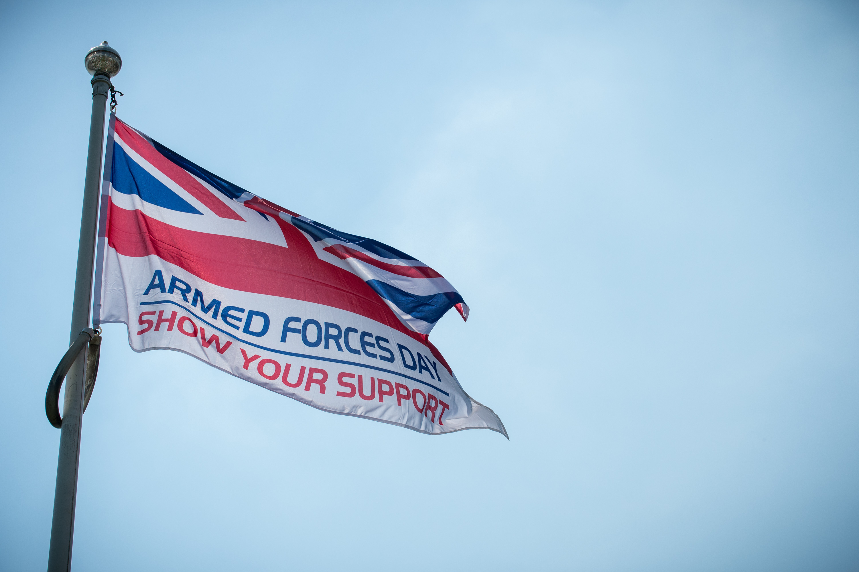 Armed forces day flag
