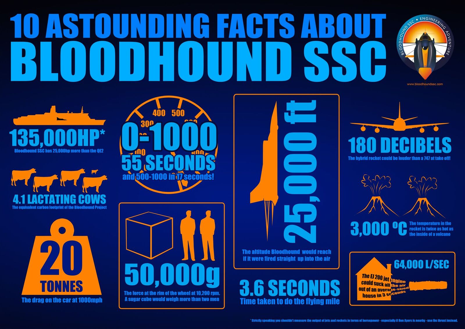 Bloodhound Handout Facts