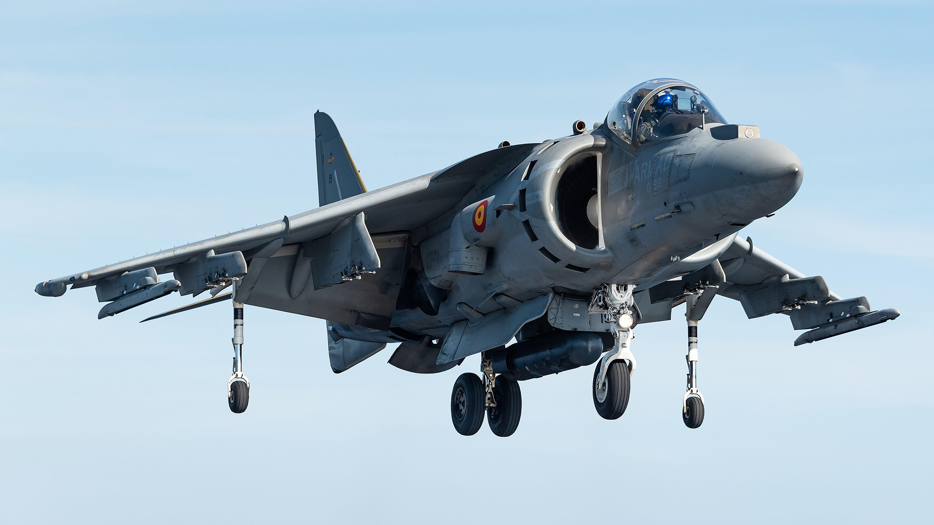 AV-8B Harriers, this one operated by the Spanish navy, will be part of the aerial contingent on Steadfast Dart (Picture: Alamy)