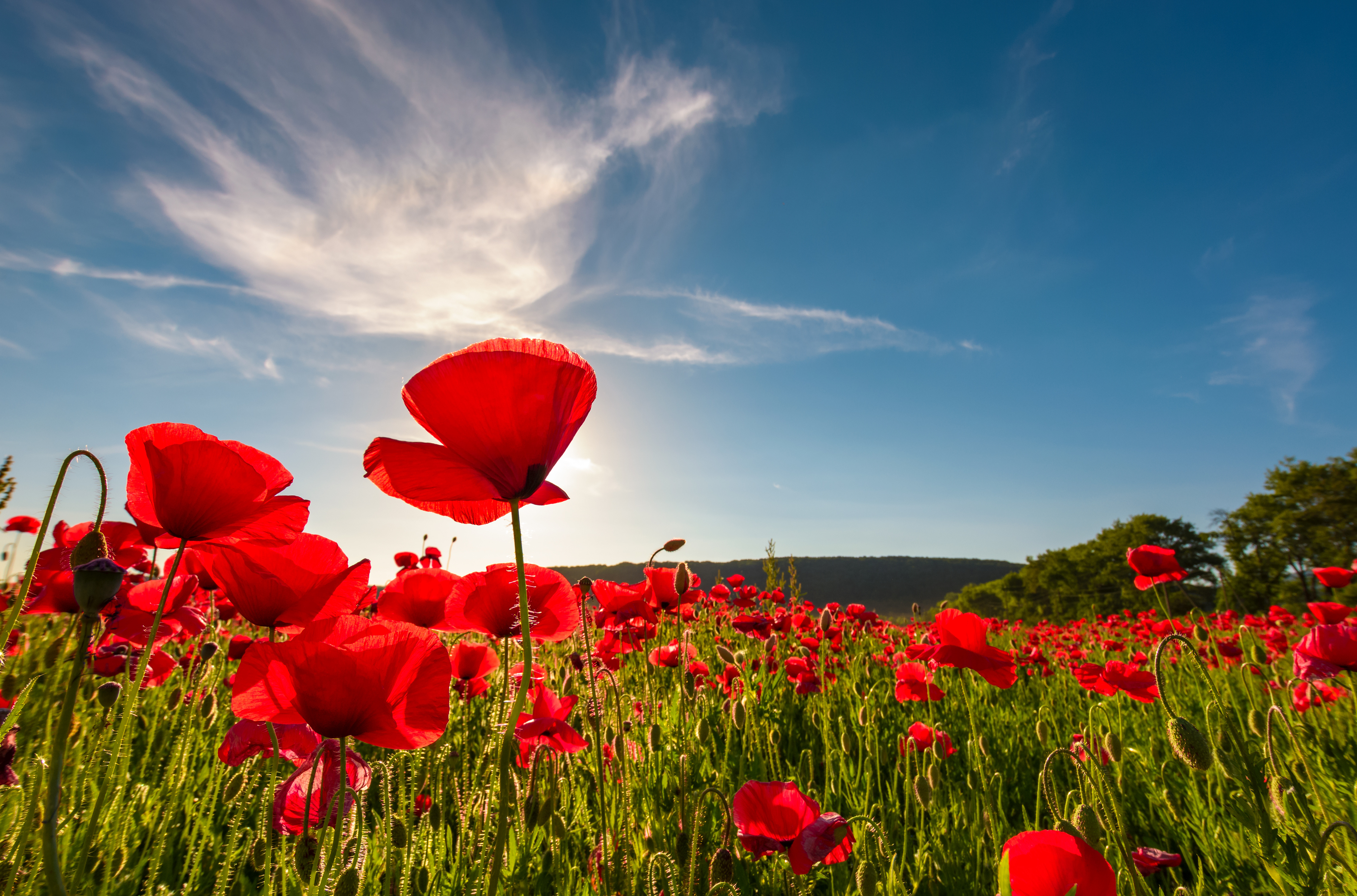 Words of Remembrance 2020