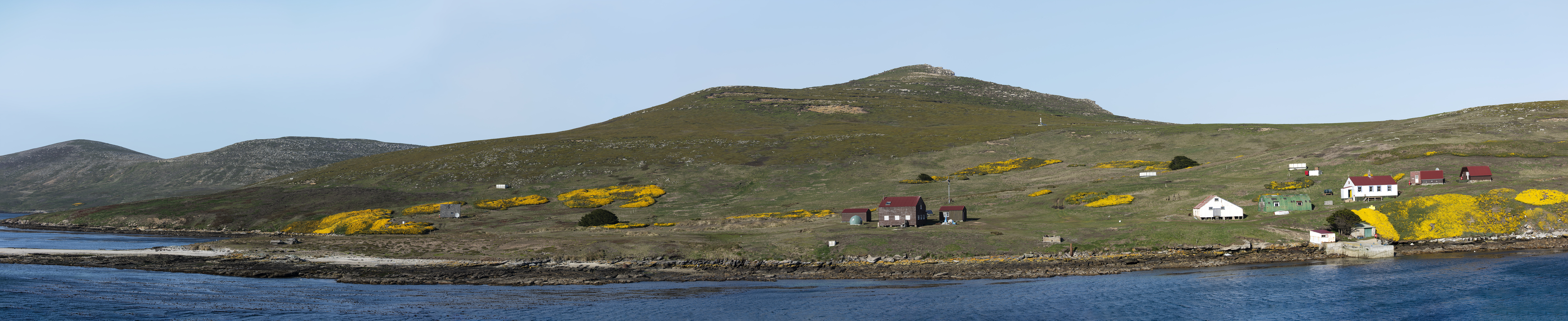 New Island Falkland Islands