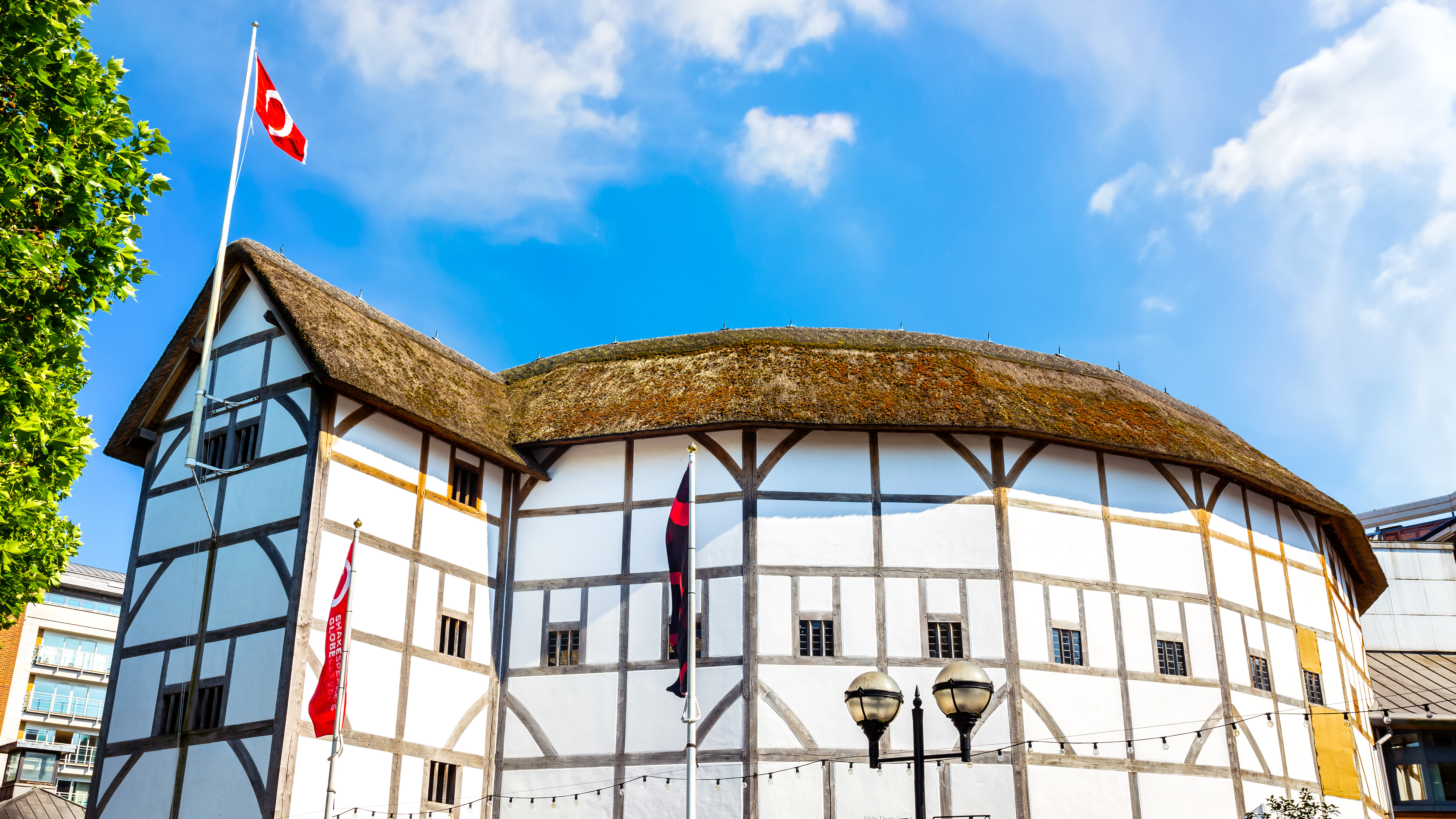the globe