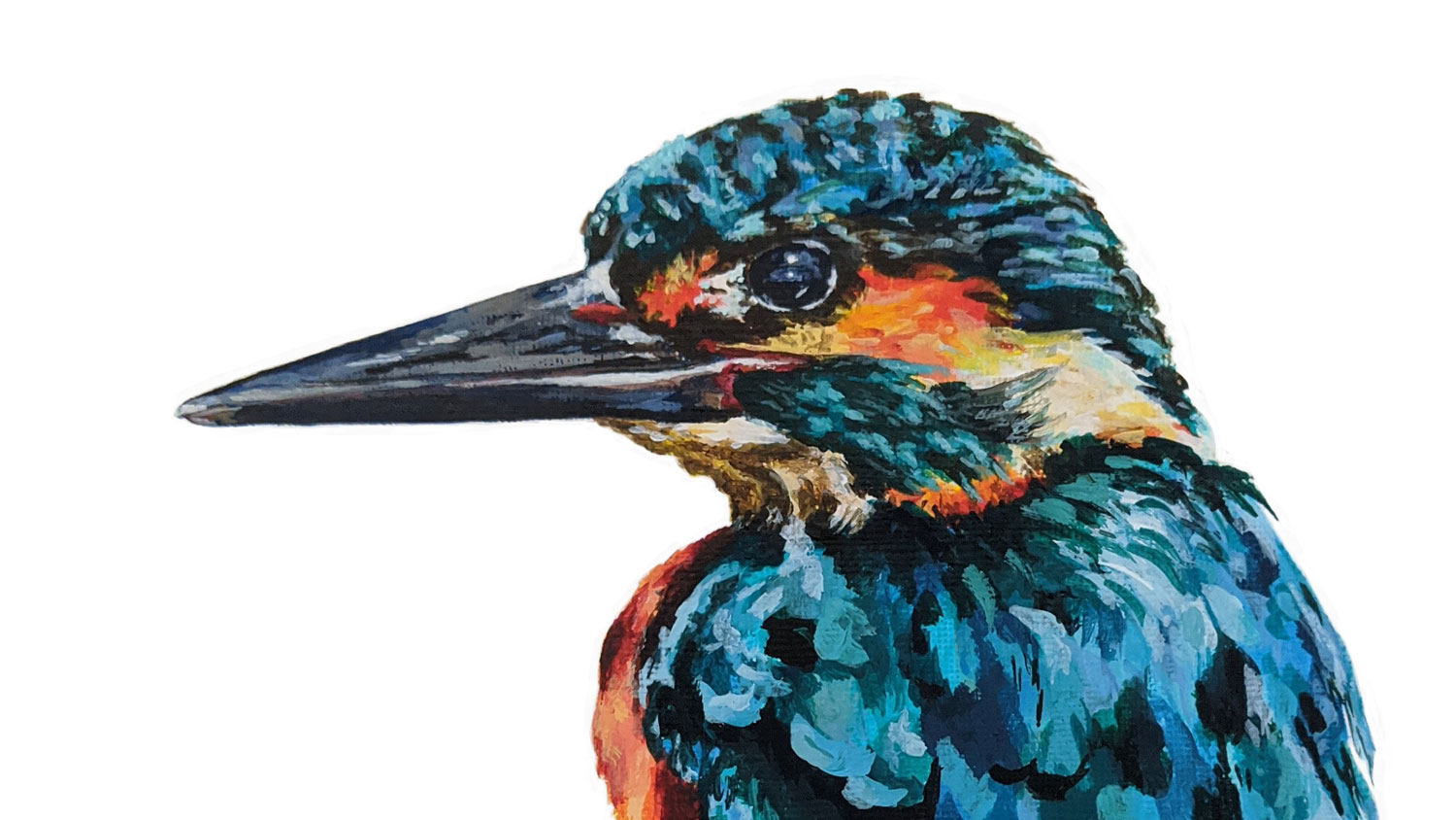 Alice Hicks - Bids of Borneo The Kingfisher