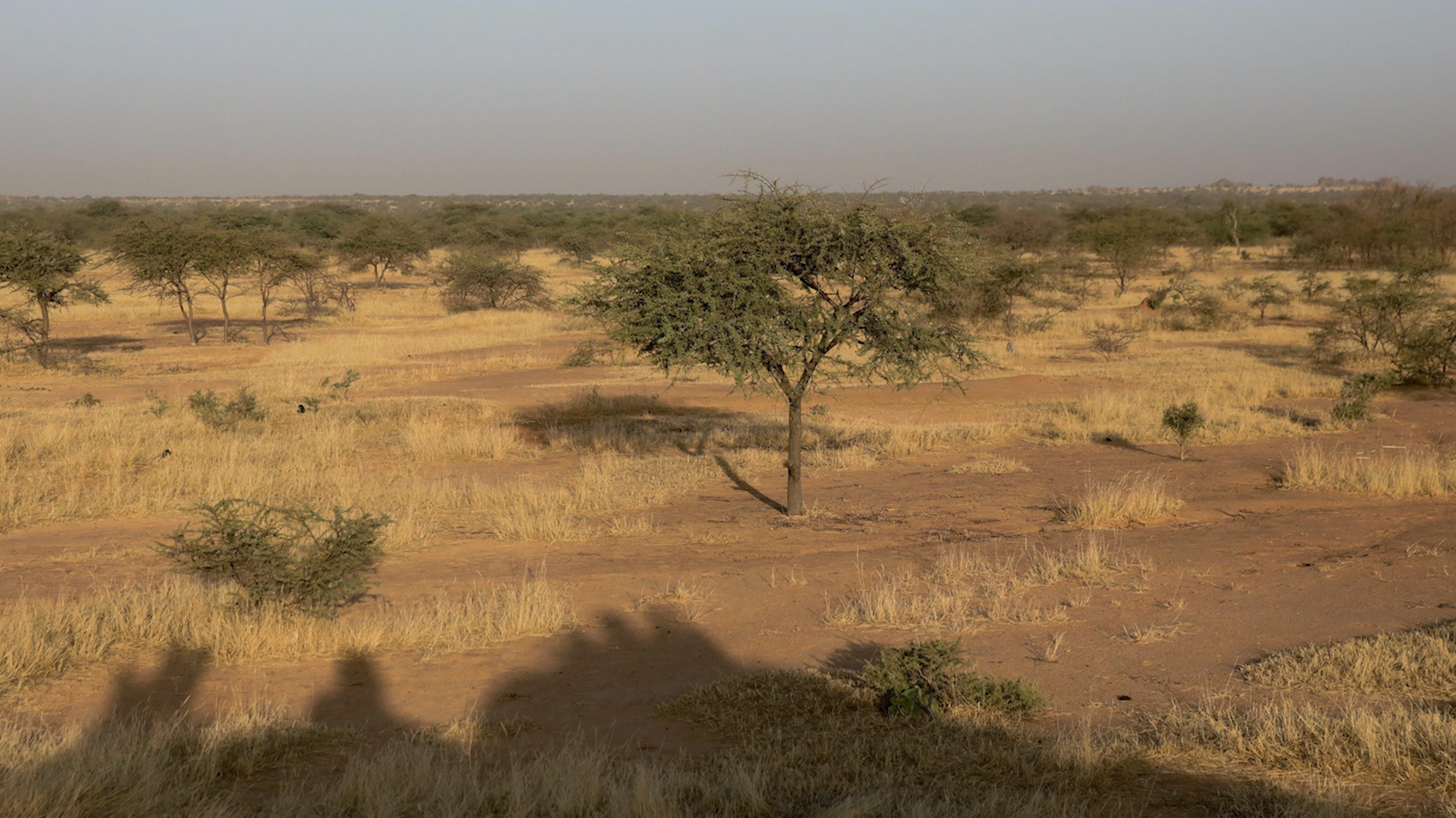 Africa's Sahel region where French troops in Mali are fighing Islamic extremism