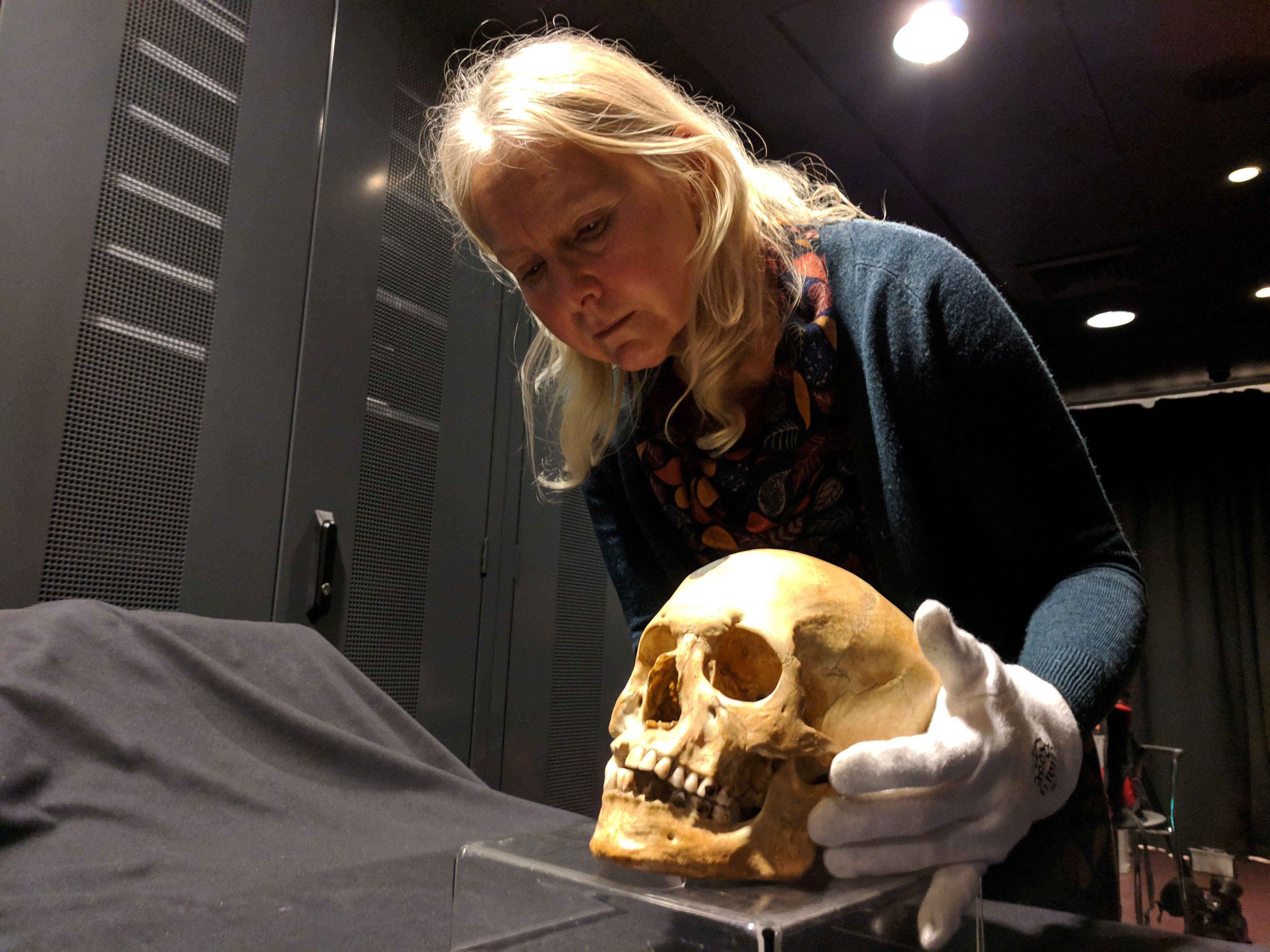 Mary Rose Trust's head of research Alexzandra Hildred examines a skull recovered from the Mary Rose (Picture: Reuters/Alamy).
