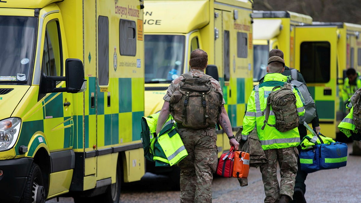 Ambulance strikes (Pic: MOD)