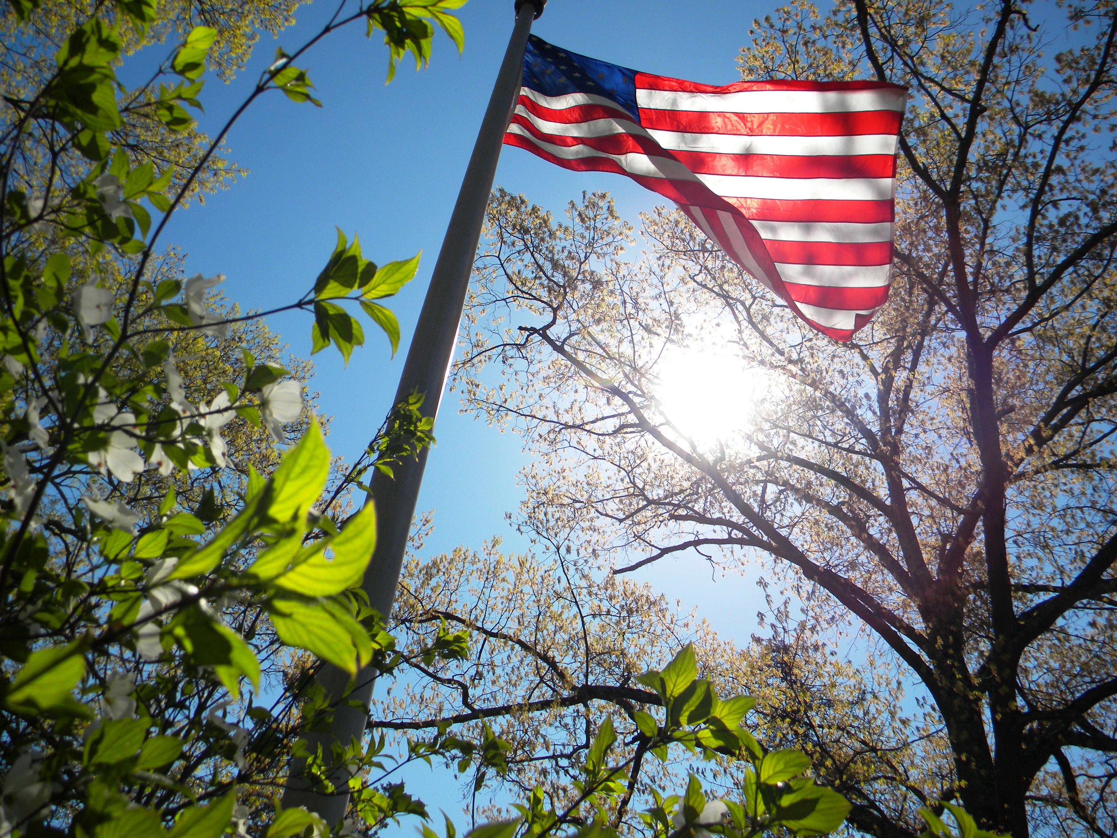American Flag at Fredericksburg National Cemetery - image from US National Park Service