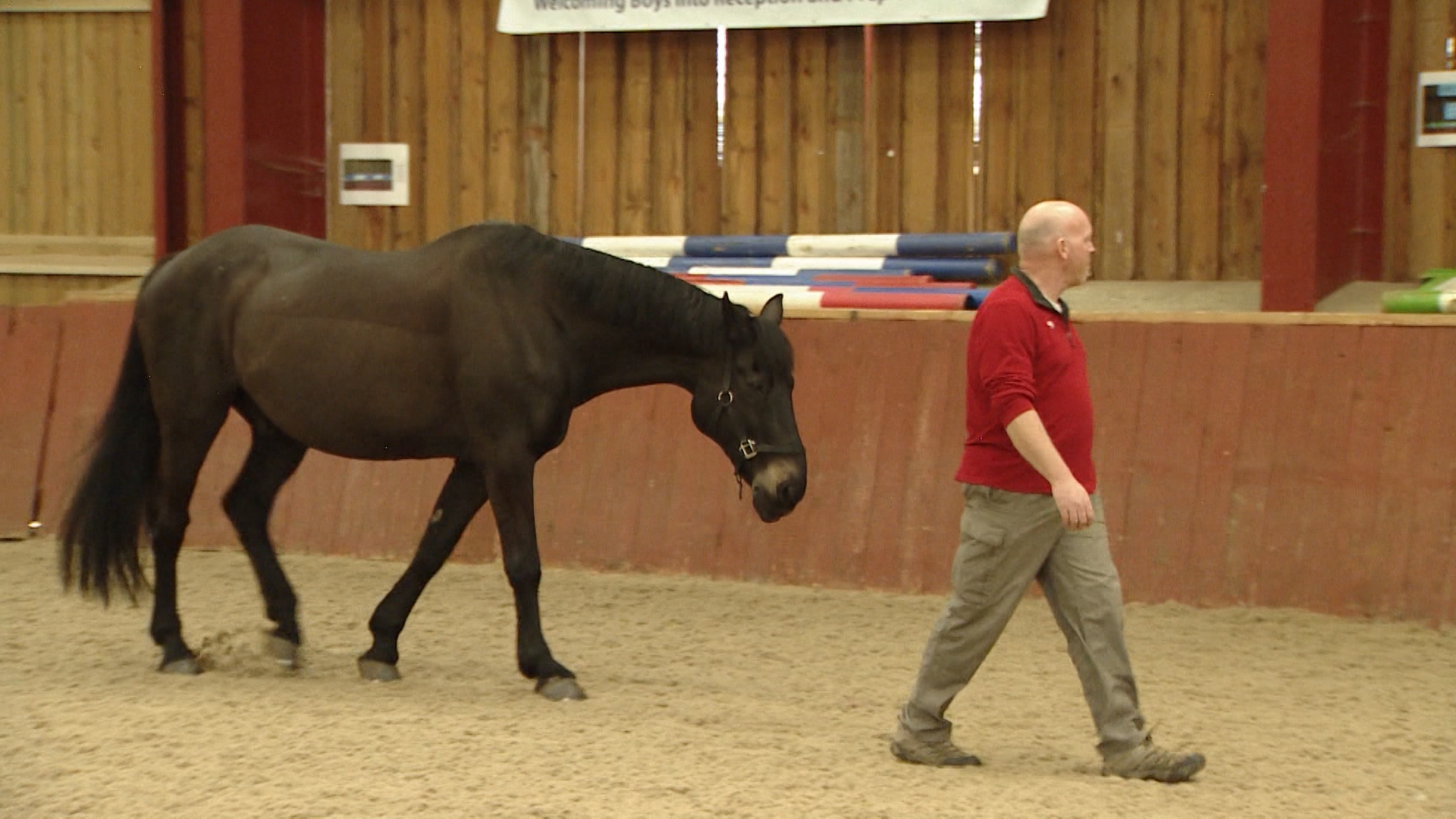 Andy Newell with his horse 250319 CREDIT BFBS.jpg 