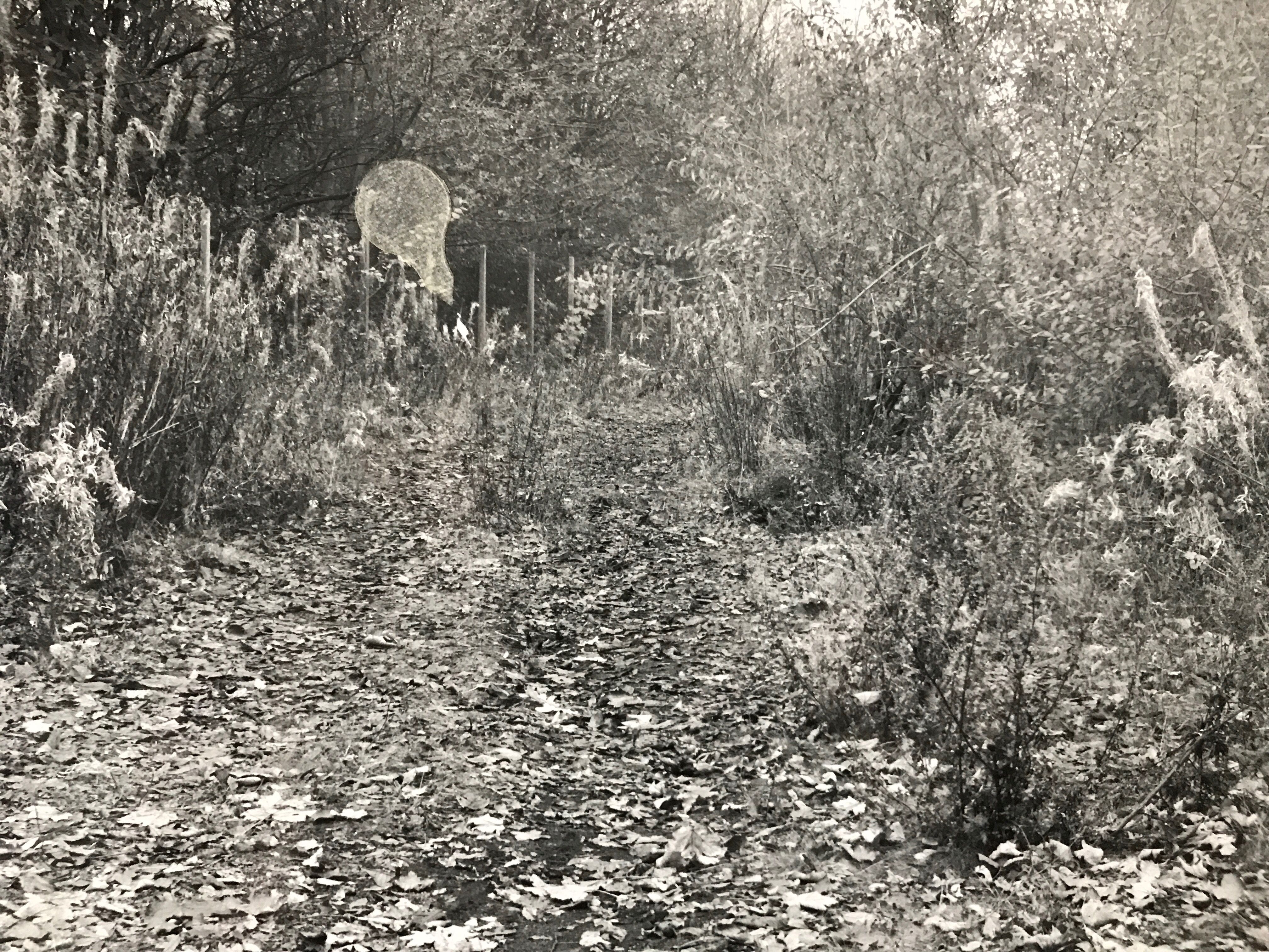 Rita Ellis 091117