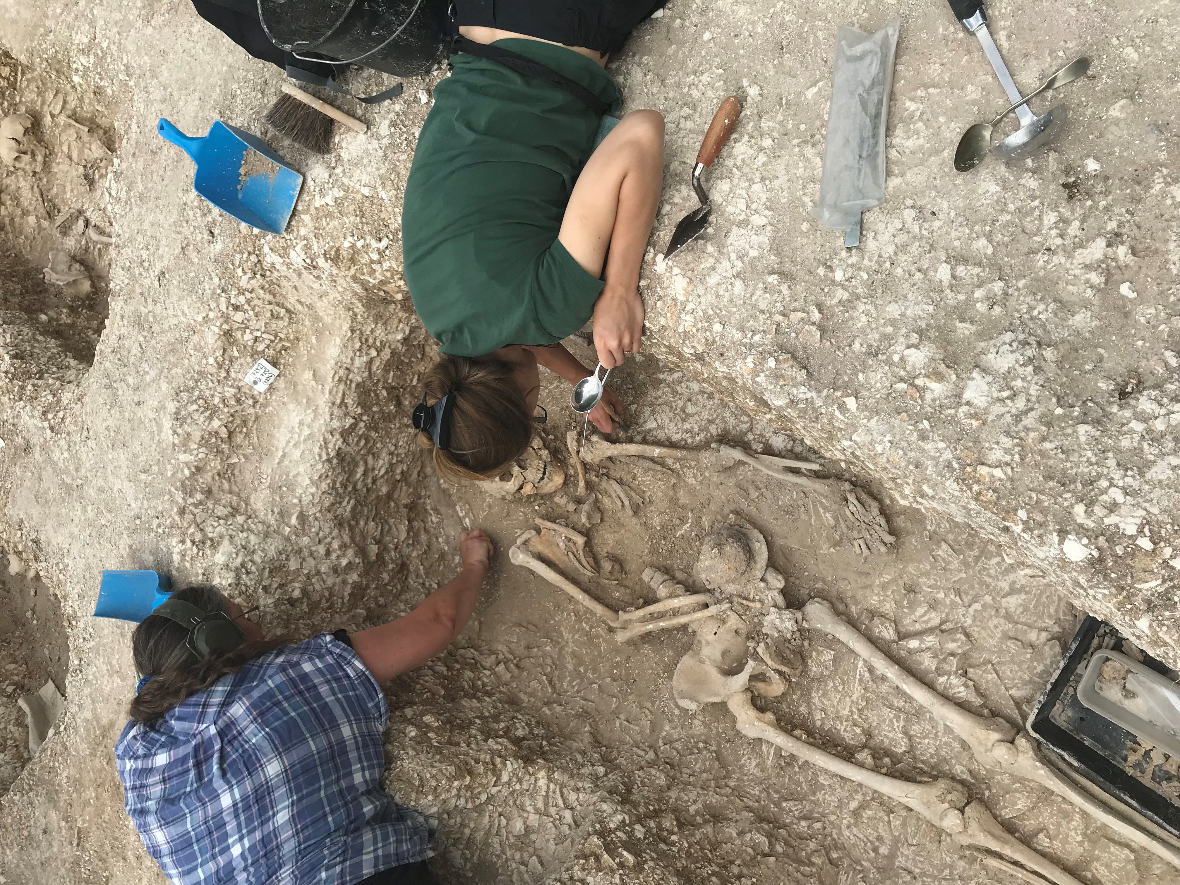 Vets and archaeologists examine Anglo-Saxon remains at MoD site