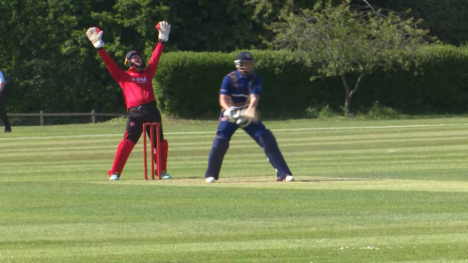 Army Cricket LBW 29052019 Credit BFBS.jpg