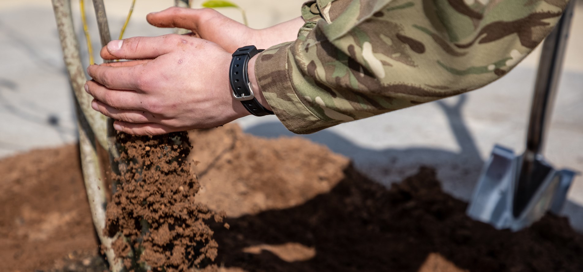 Army To Plant 2 Million Trees in Battle Against Climate Change 05062021 CREDIT MOD.jpg
