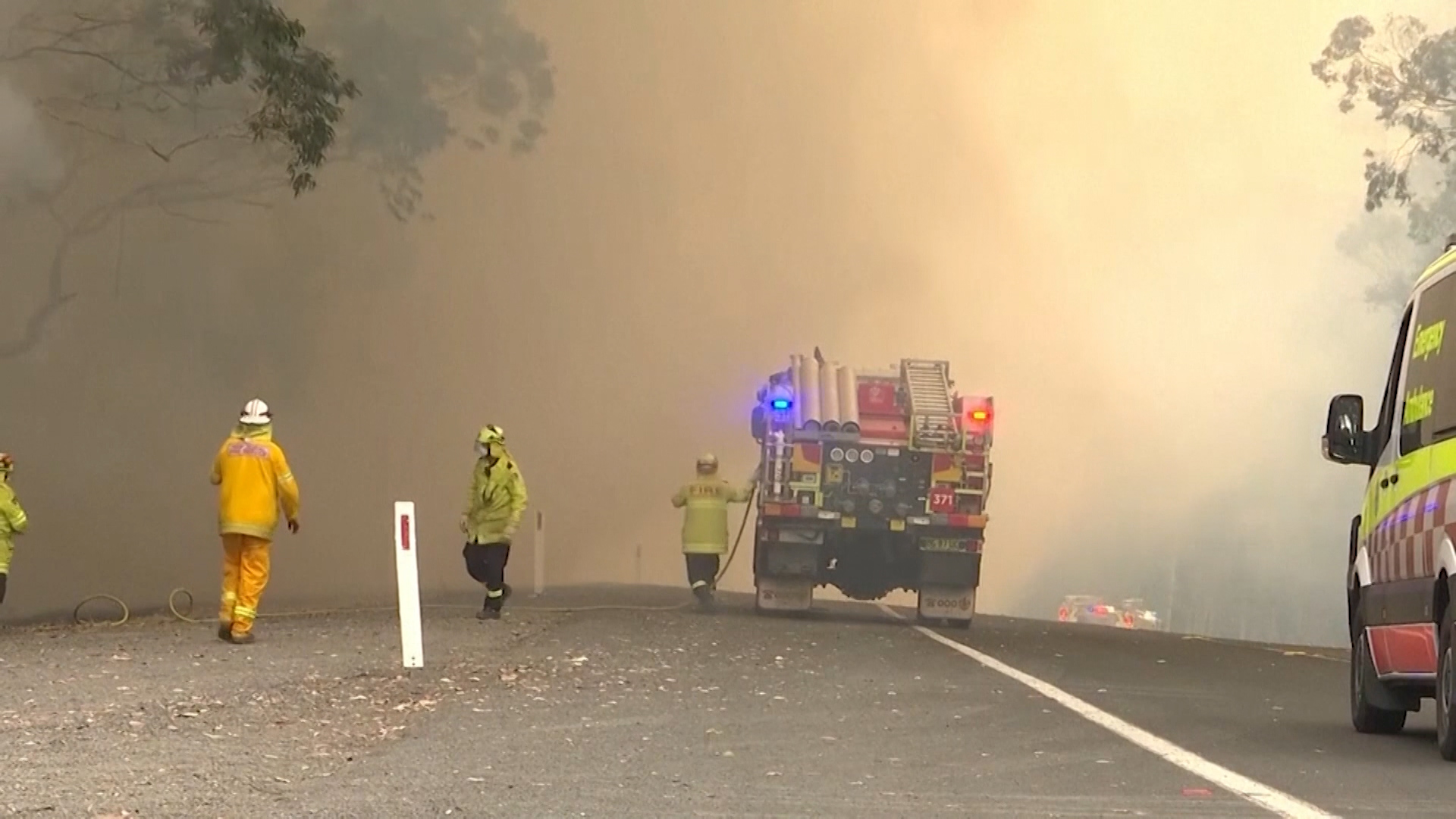 Cover Image: Wildfires have burnt more than 20,000 square miles across Australia.