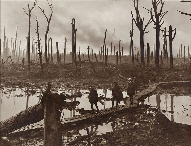 Australian 4th Division field artillery brigade passing through Chateau Wood, near Hooge in the Ypres salient, 29 October 1917 by Australian War Memorial