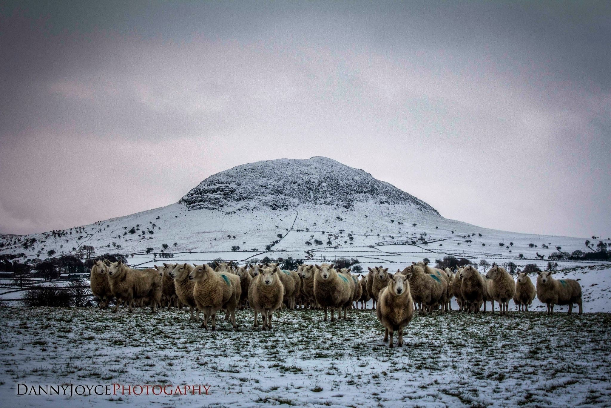 Gibraltar evacuation. Slemish, a local mountain which dominates the landscape where the Ballymena evacuation camps were located. Photo Credit: Danny Joyce Photography 