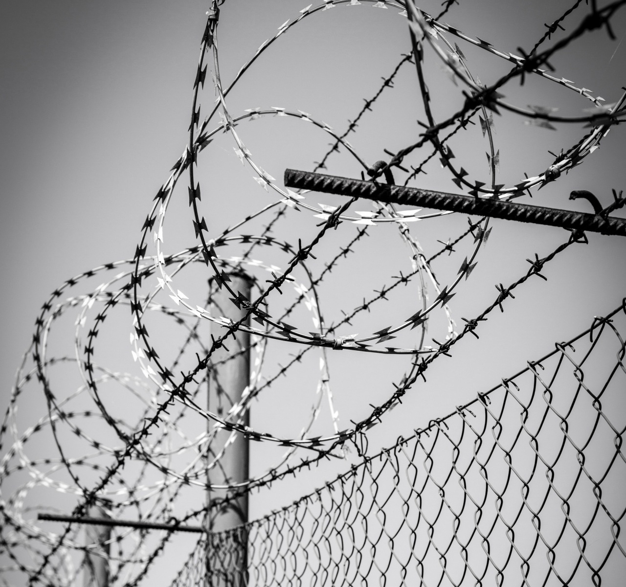 Barbed Wire