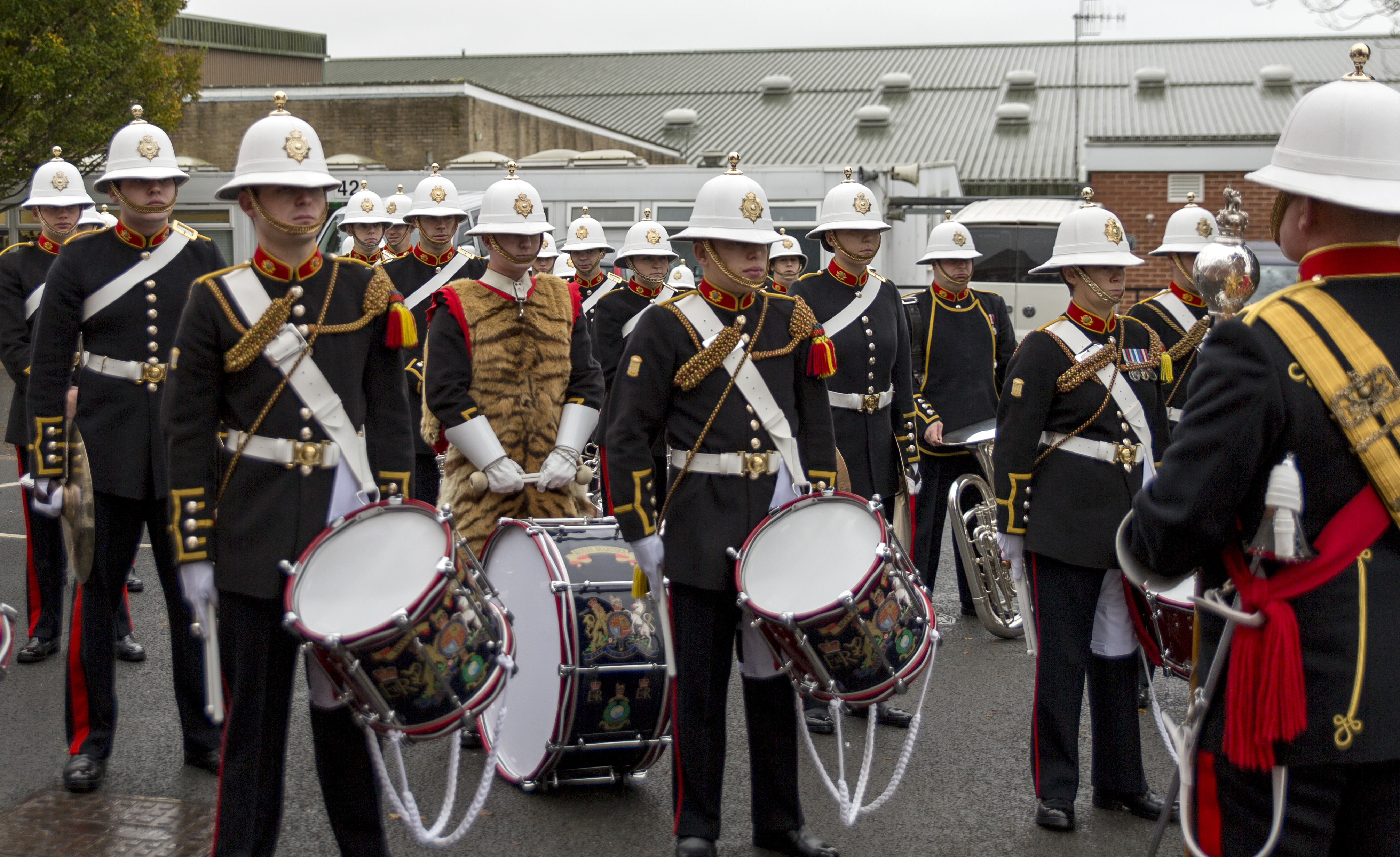 Bass Drummers of the Band Service of Her Majesty’s Royal Marines wearing tiger skins