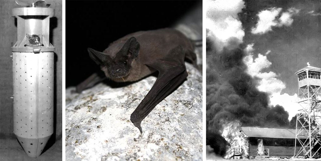 Bat bomb WWII