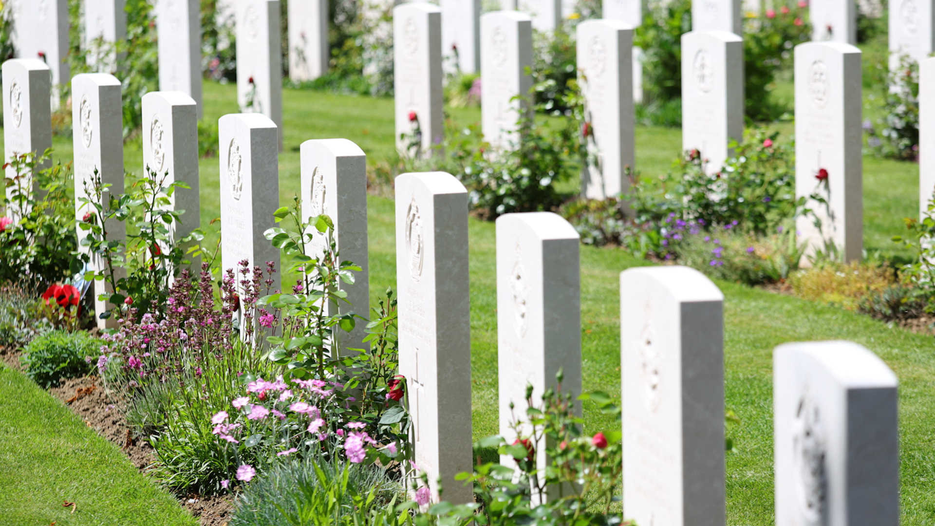 Bayeux War Cemetery Credit MOD