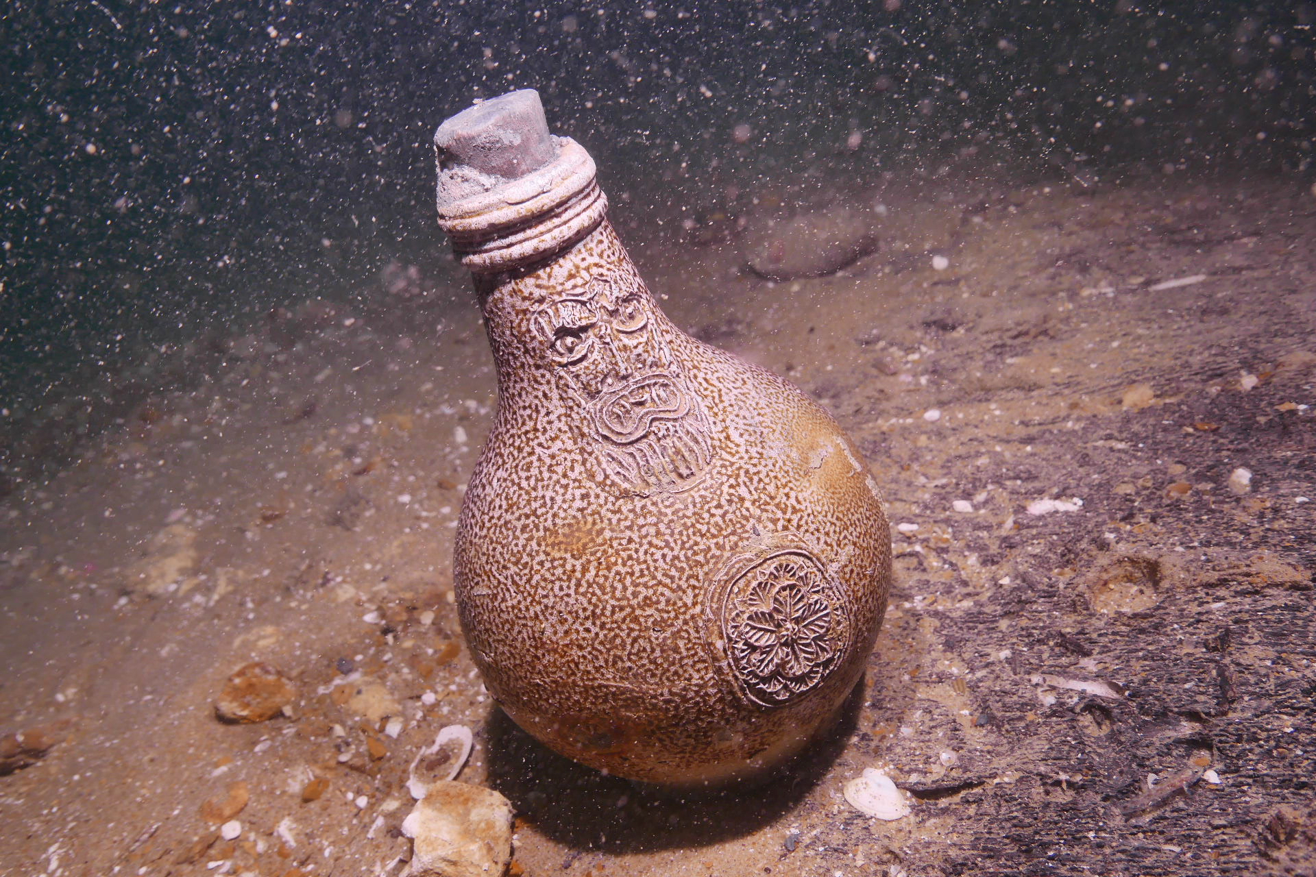 Bellarmine Jug found near the shipwreck of the Klein Hollandia