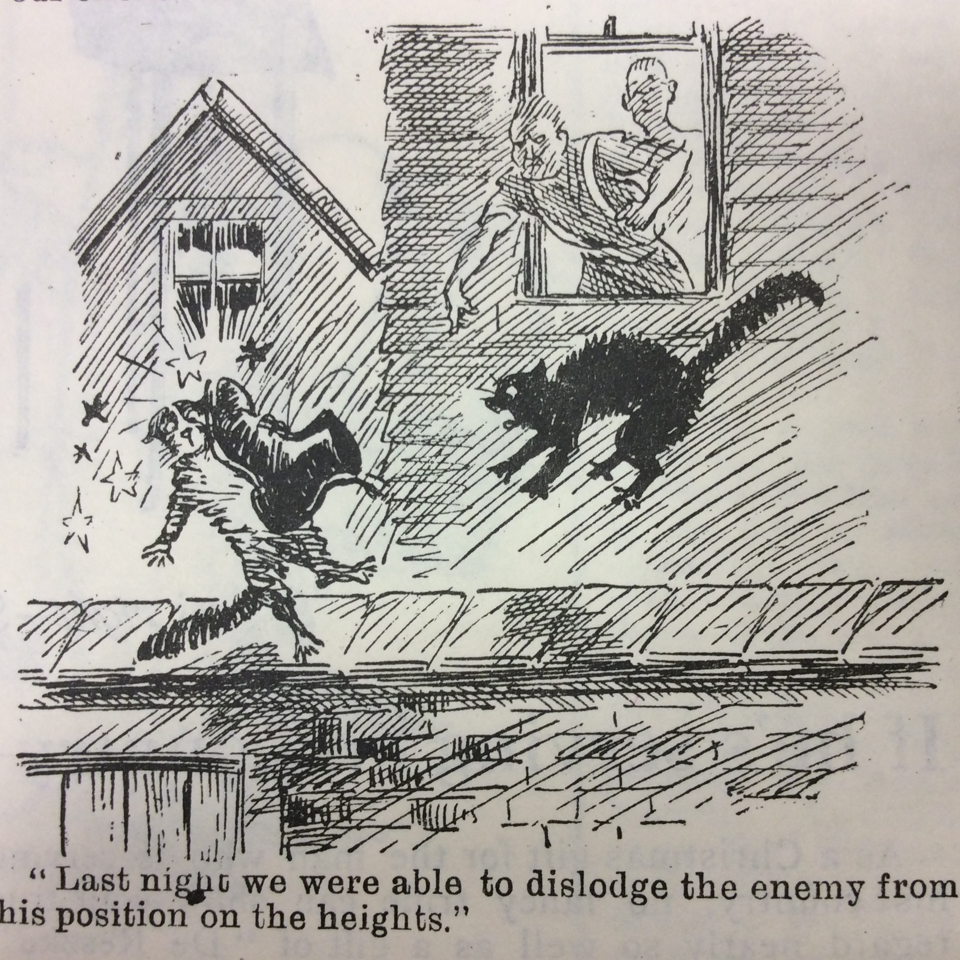 Blighty magazine cartoon cat