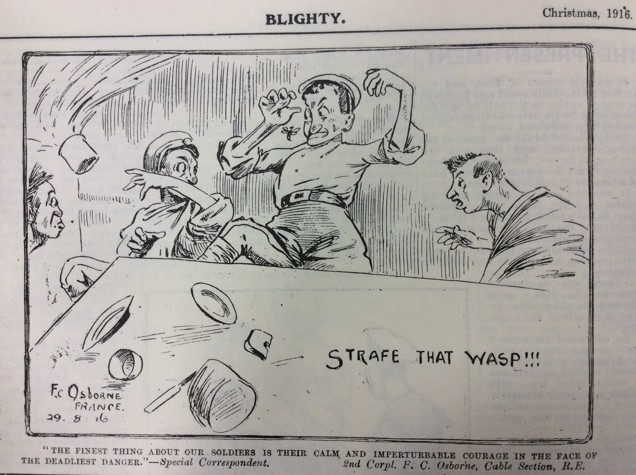 Blighty magazine cartoon wasp