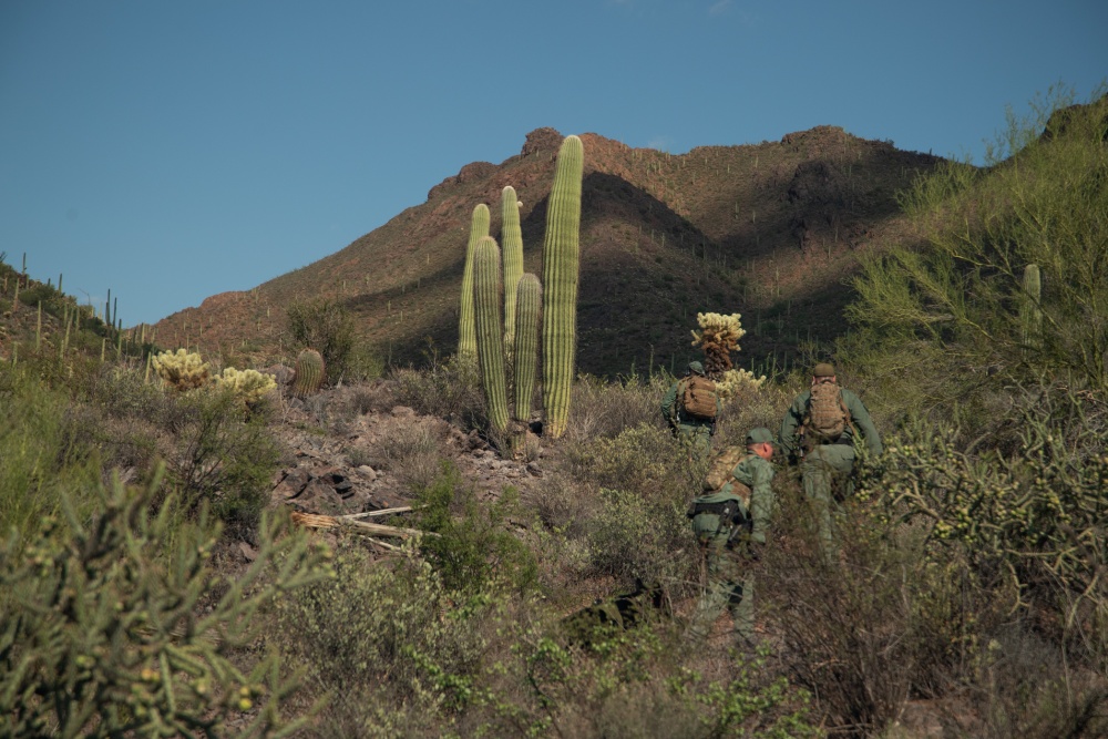 Border patrol agents in Arizona desert 130818