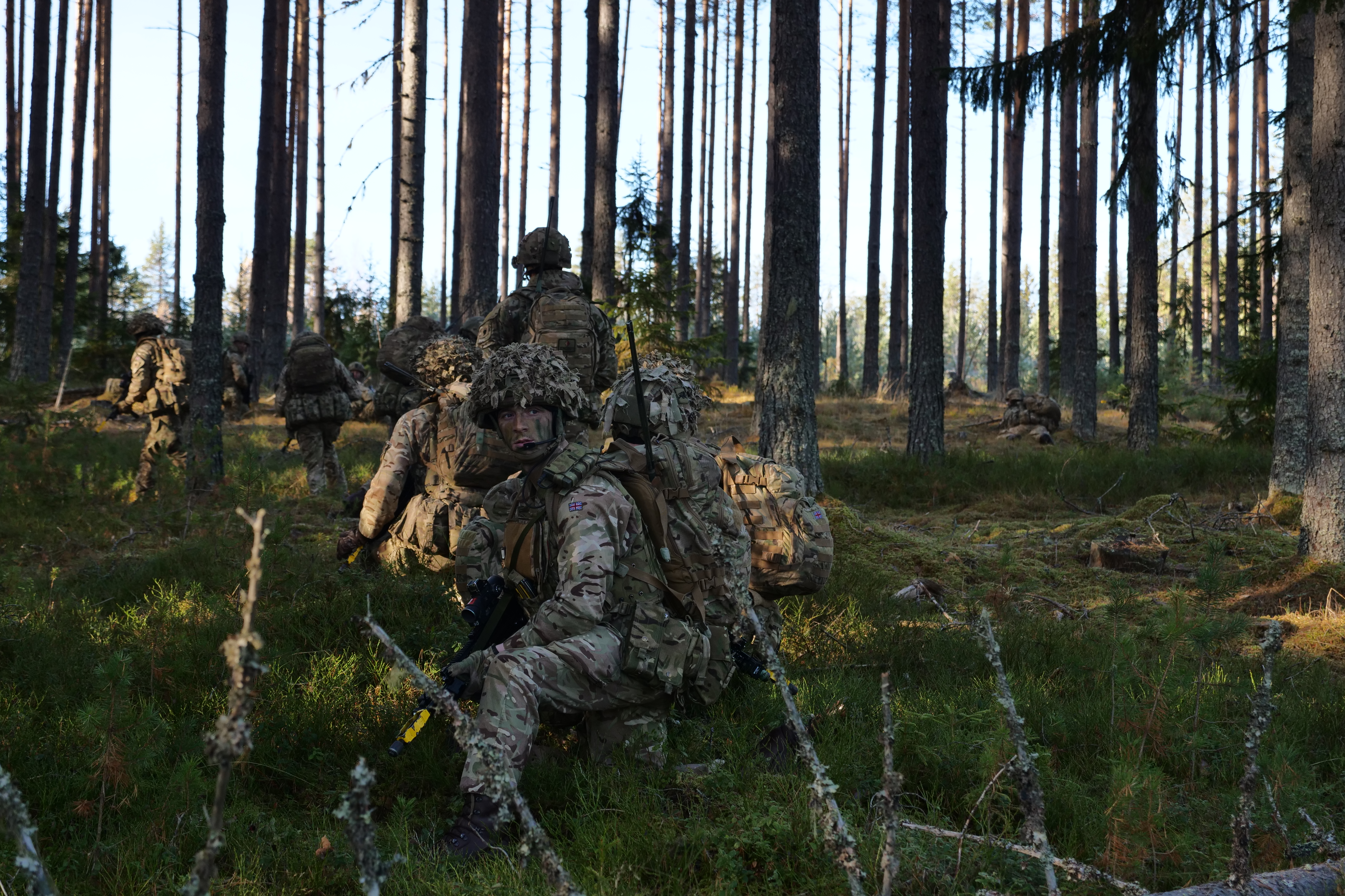	British soldiers in woodland area during Ex Trident Juncture