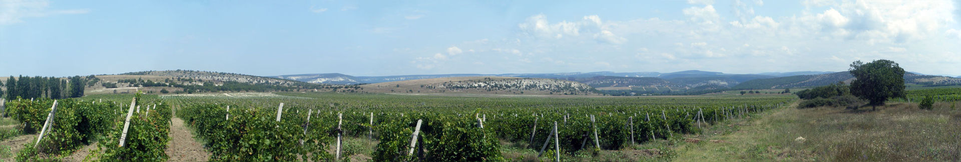 By Thetaylor82 The charge was from left to right, with the Russian batteries at the extreme right Name - Valley-of-Death-Panorama