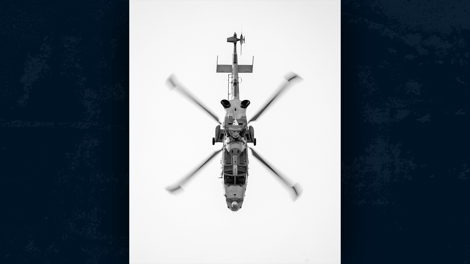 The Wildcats, as part of the Black Cat display team, have been thrilling audiences at air shows for years