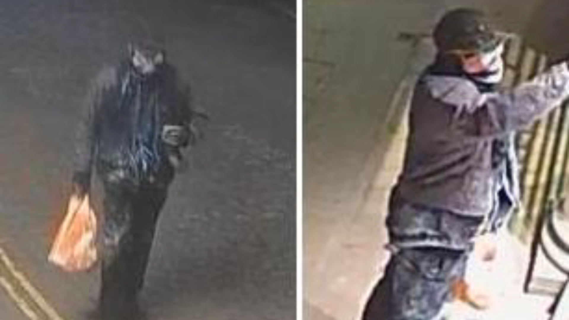 CCTV images of the suspect that Police believe vandalised the Bomber Command Memorial