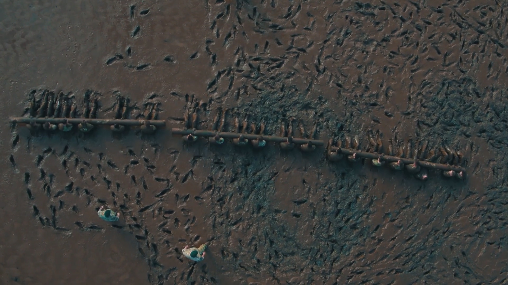 Mud Run 3
