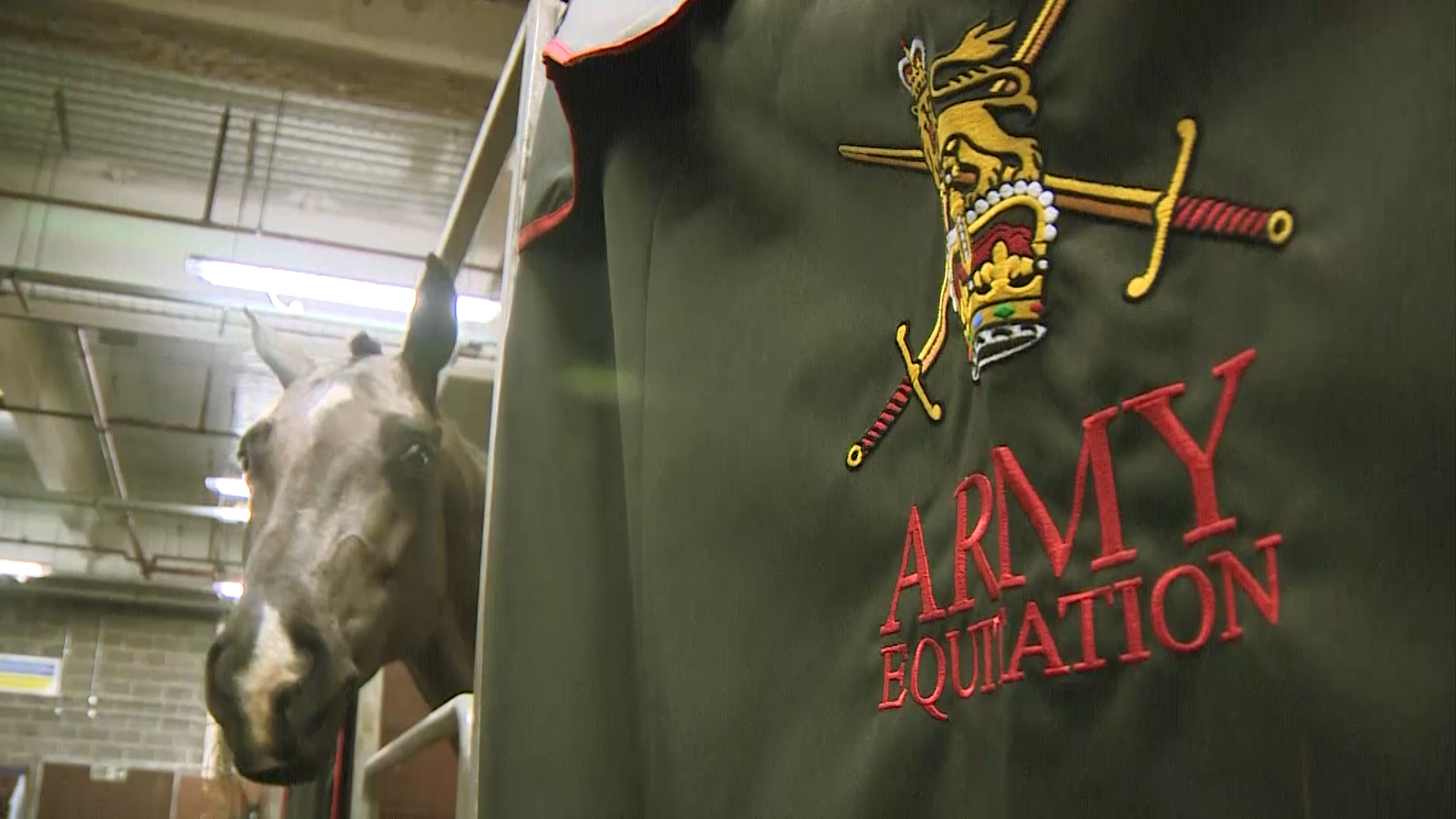 Horsing Around At The Inter-Services Riding Competition