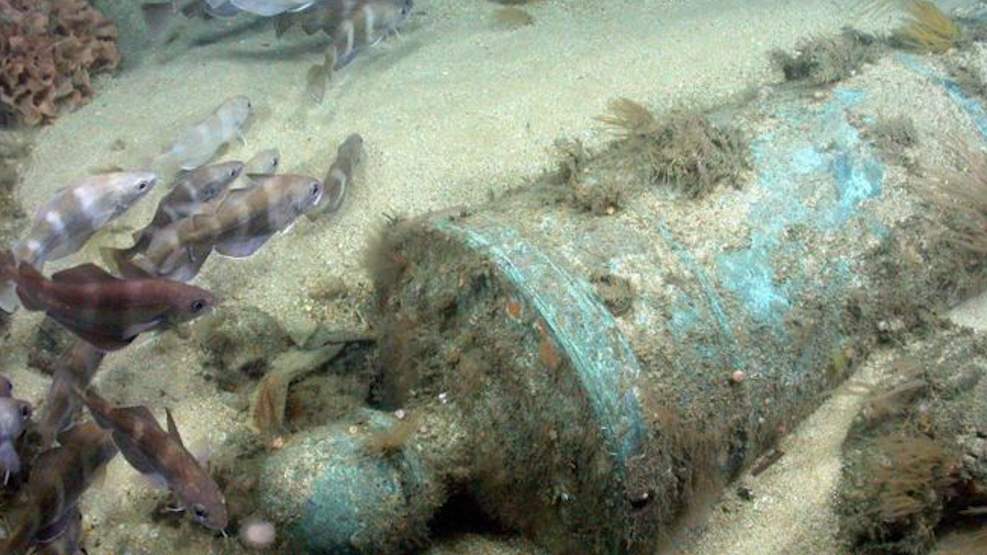 Cannon 3 from HMS Victory 1744 Wreck 300919 CREDIT Maritime Heritage Foundation & Odyssey Marine Exploration.jpg