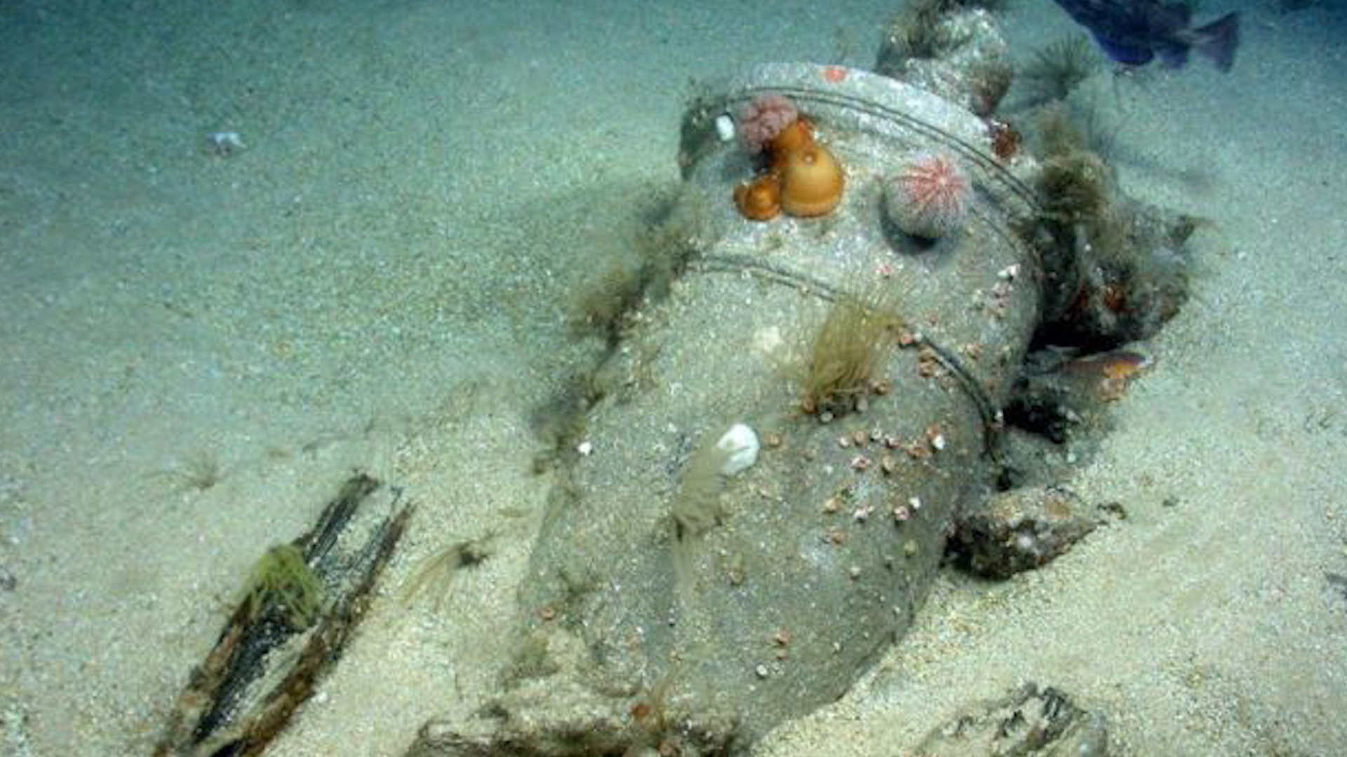 Cannon 4 from HMS Victory 1744 Wreck 300919 CREDIT Maritime Heritage Foundation & Odyssey Marine Exploration.jpg