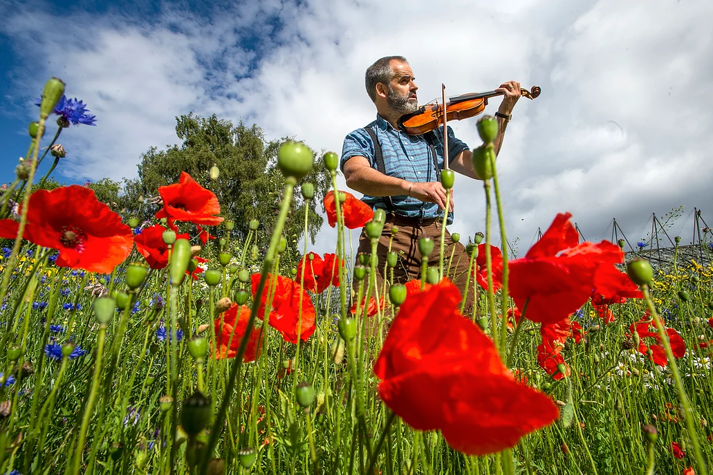WW1 poets honoured with violins