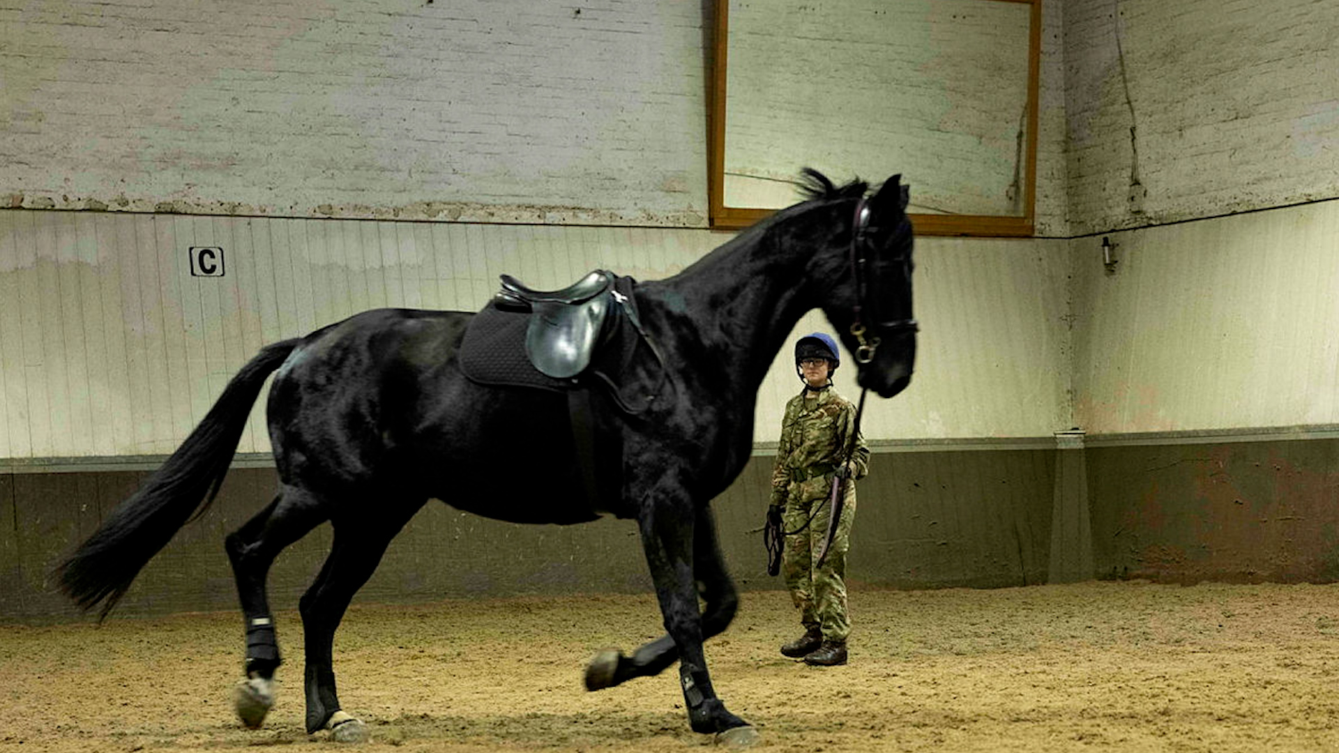Cavalry Black Household Cavalry Horse Training 270123 CREDIT MOD 
