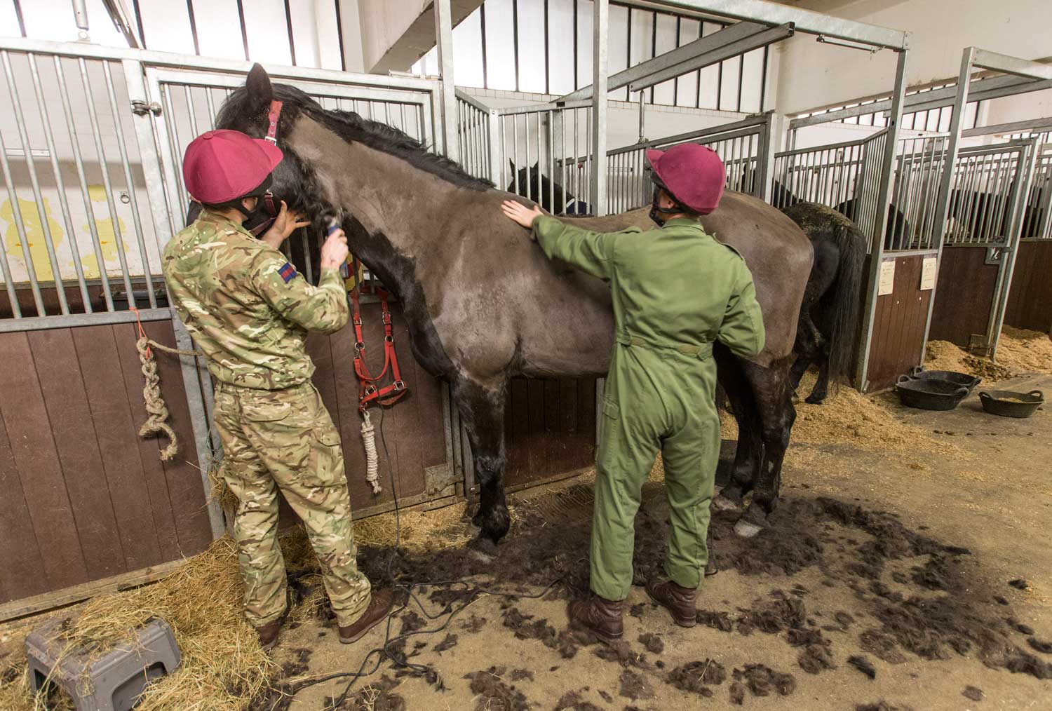 Cavalry Horses Treated To A Makeover After Holiday Excess