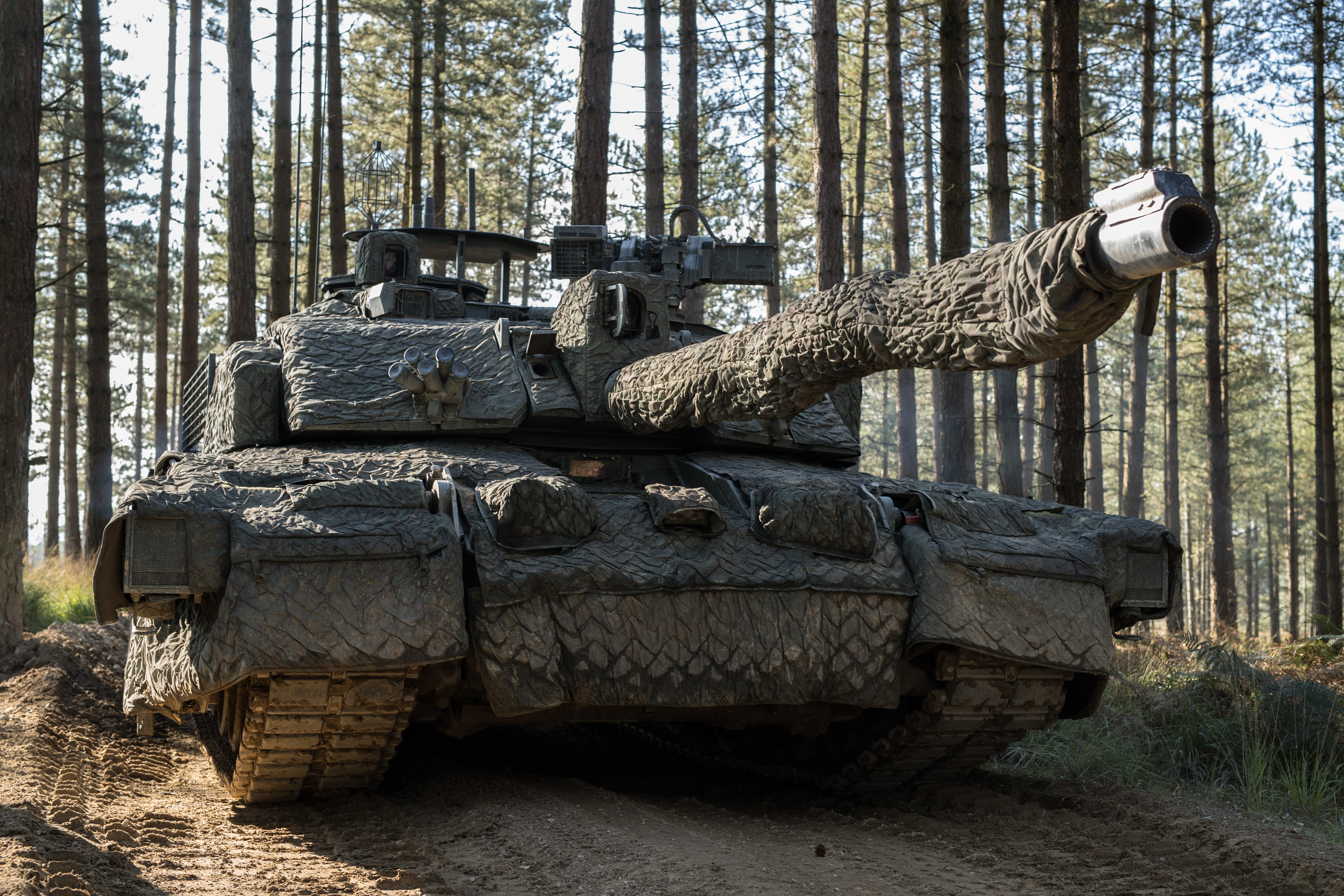 The Challenger 2 is the British Army's main battle tank but could be scrapped, according to reports (Picture: MOD).
