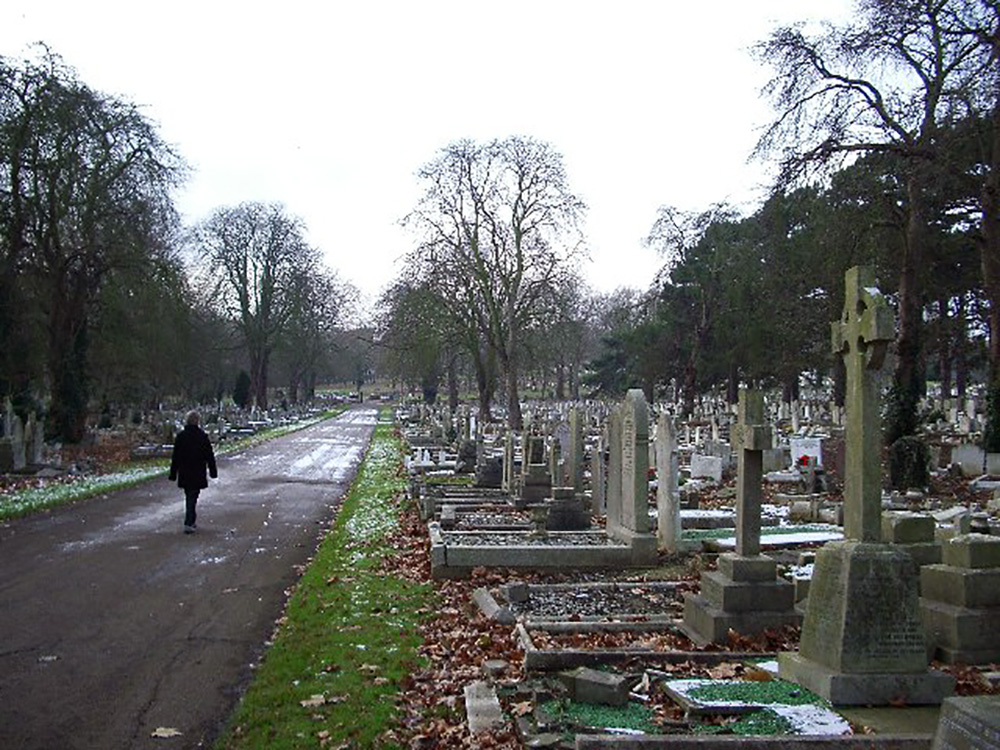 WW2 Veteran Attacked On Way Home From Wife’s Grave WW2 Veteran Attacked On Way Home From Wife’s Grave