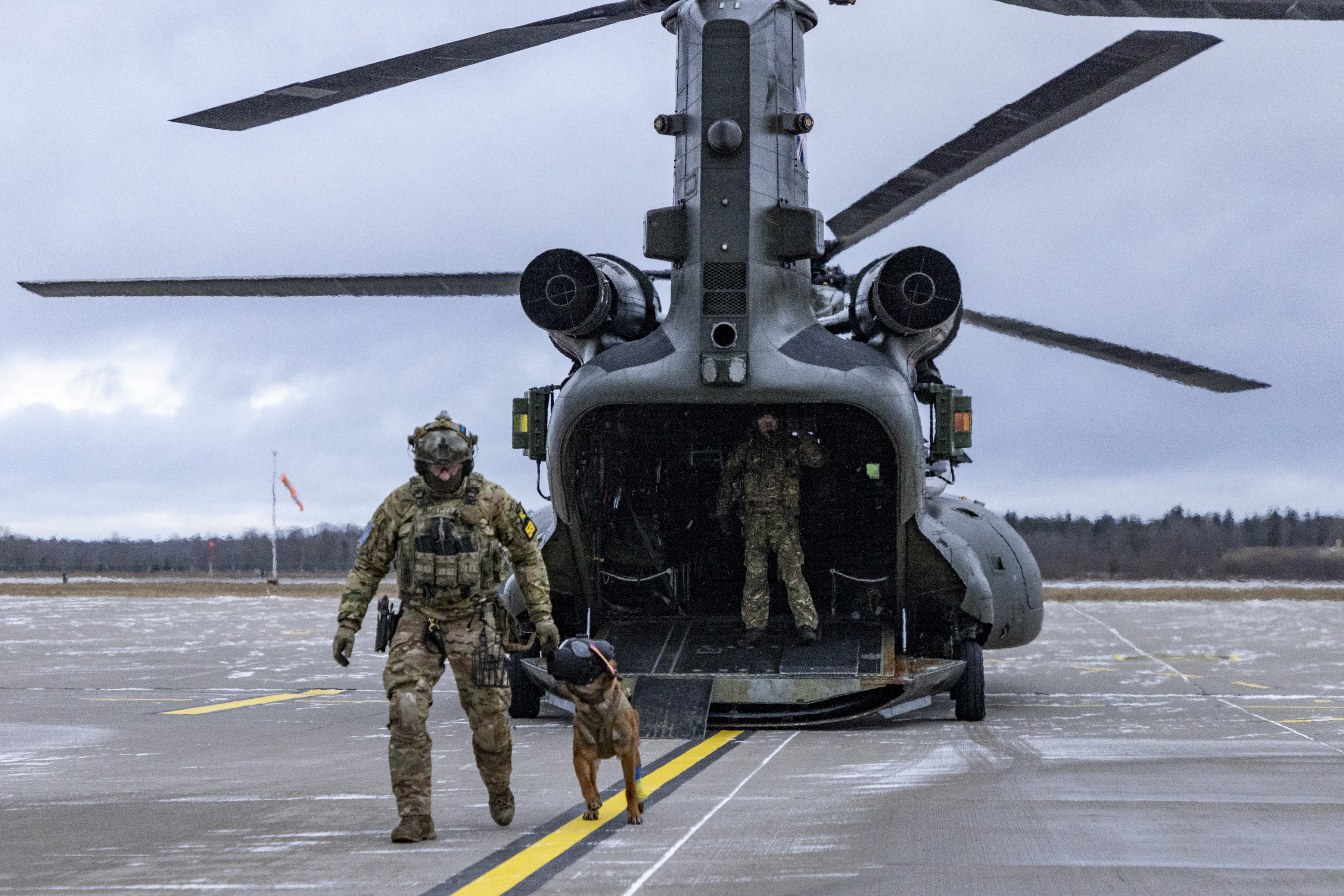 Chinooks on Op PELEDA were visited by working dogs and their handlers at Amari Air Base, Estonia