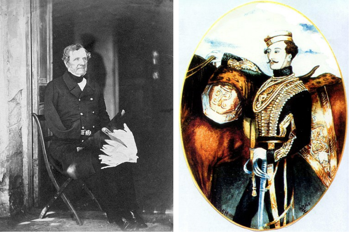 Combo Raglan and Captain Nolan