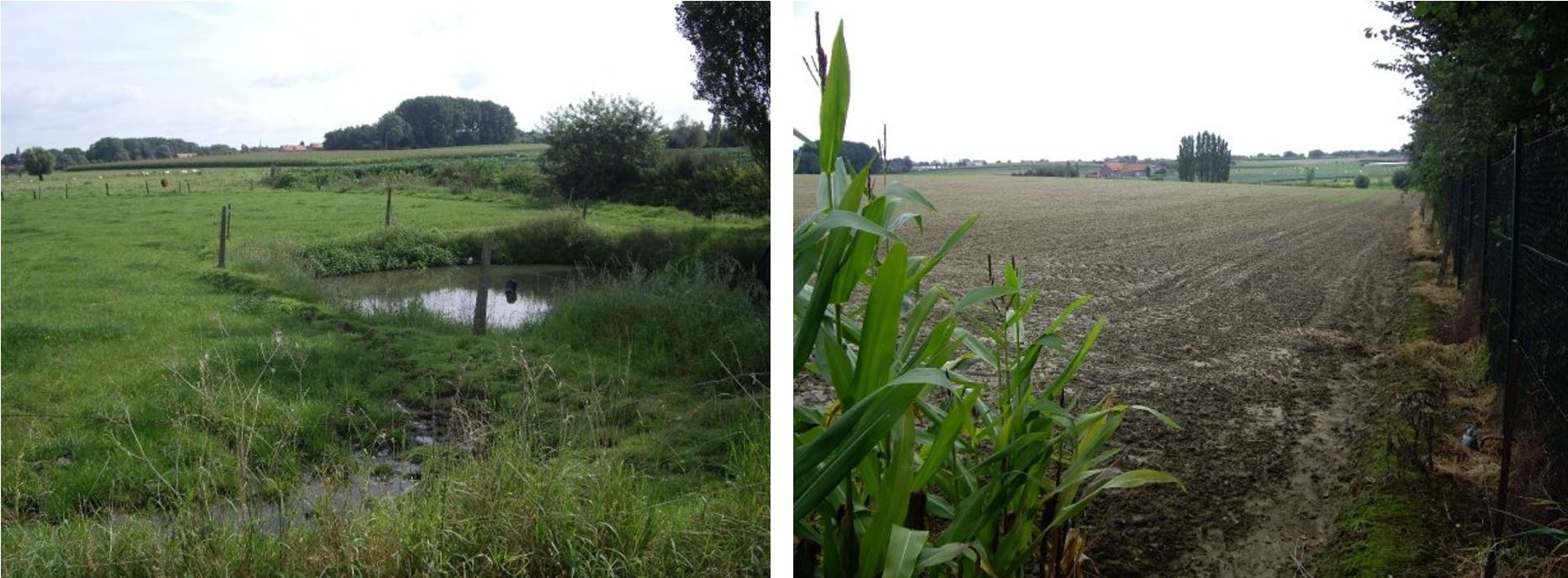 Combo tyne cott terrain