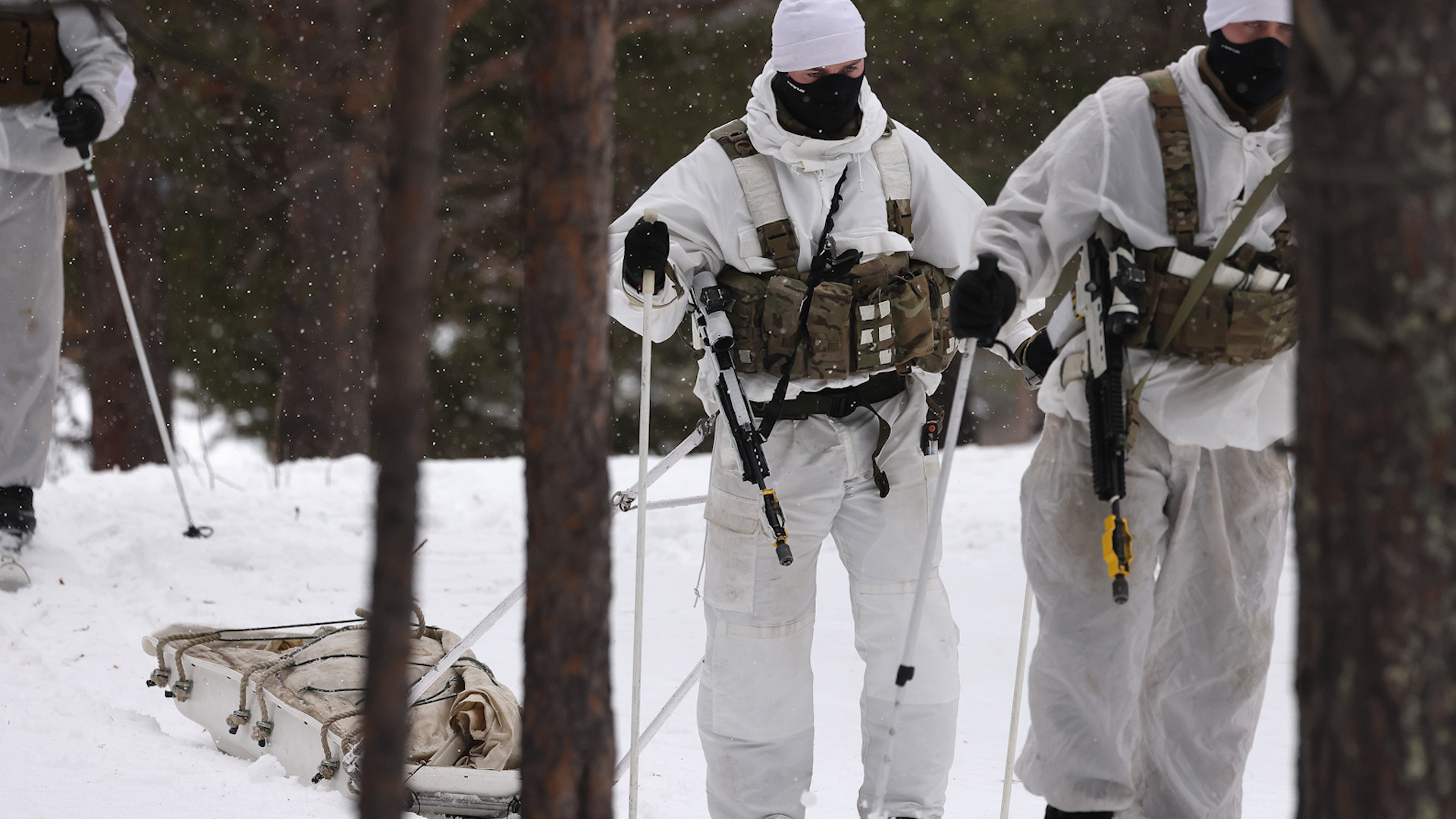 Commandos look to testing huskies on the Arctic battlefield 28032024 CREDIT Royal Navy