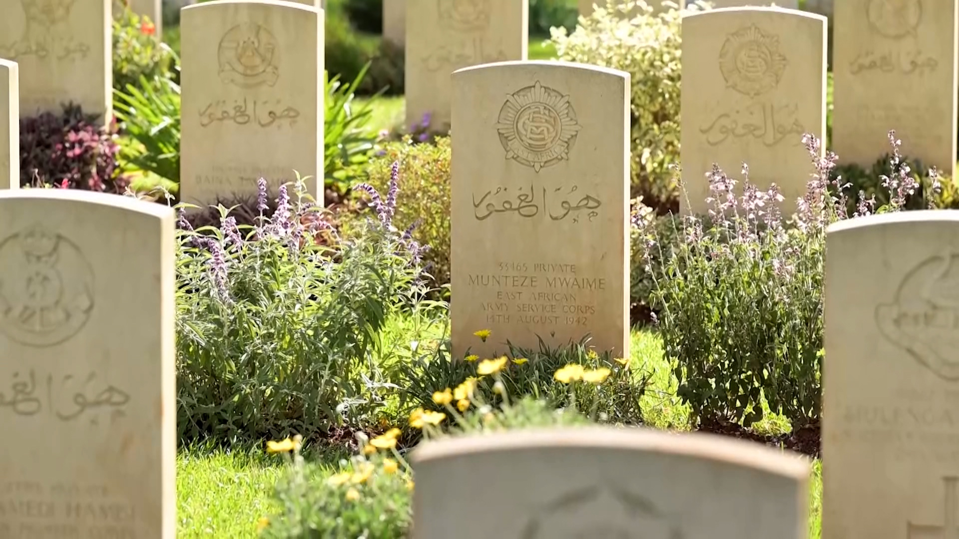 Commonwealth and War Graves Commission (CWGC) Project To Identify fallen black and Asian First World War CREDIT CWGC