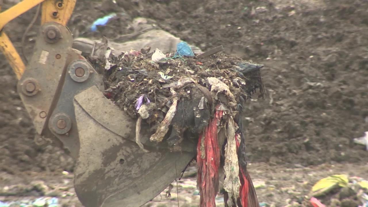 Milton Landfill Site