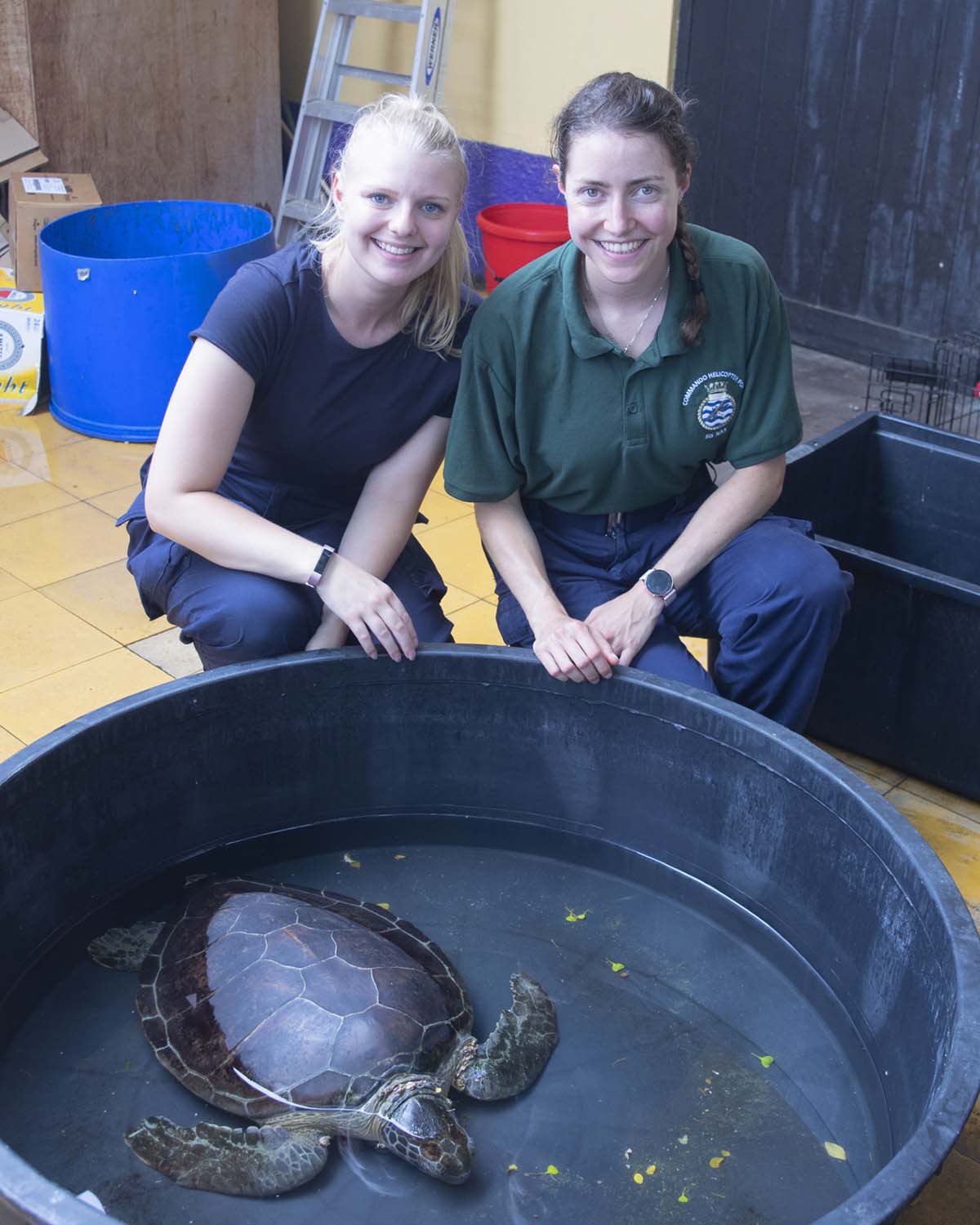 Getting a picture taken with one of Curaçao's famous sea turtles (Picture: Royal Navy).