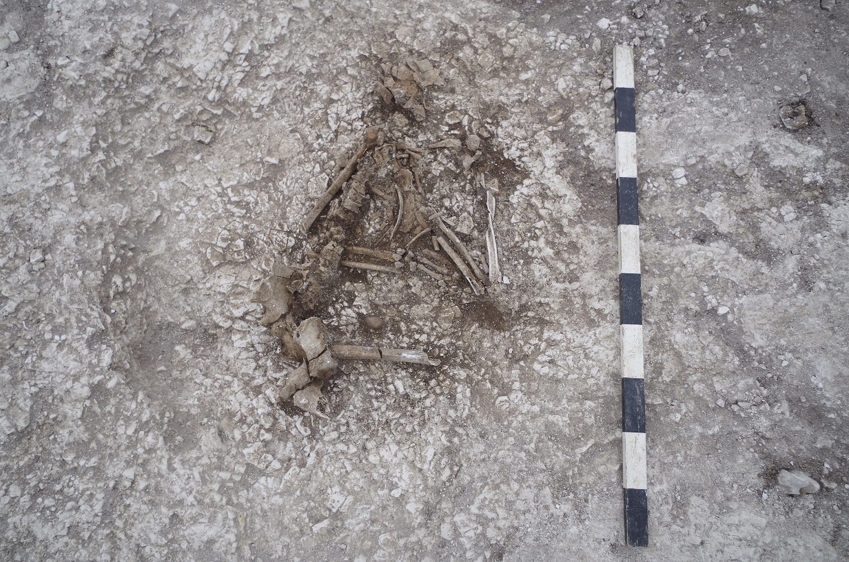 larkhill burial site