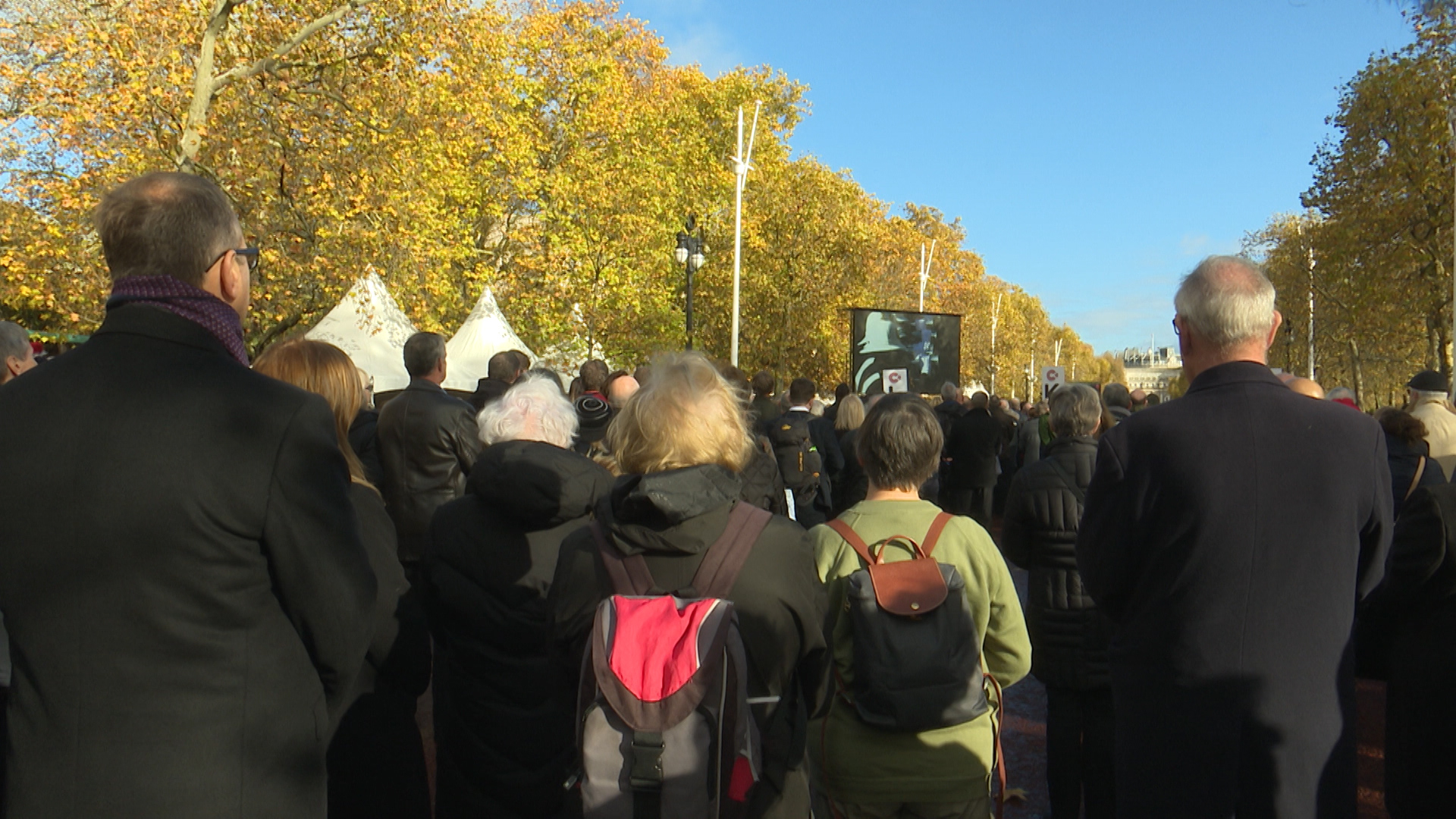 Crowds watched the Cenotaph service on big screens.
