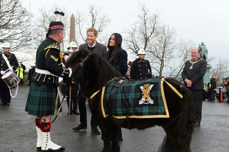 Cruachan IV meet Prince Harry Meghan